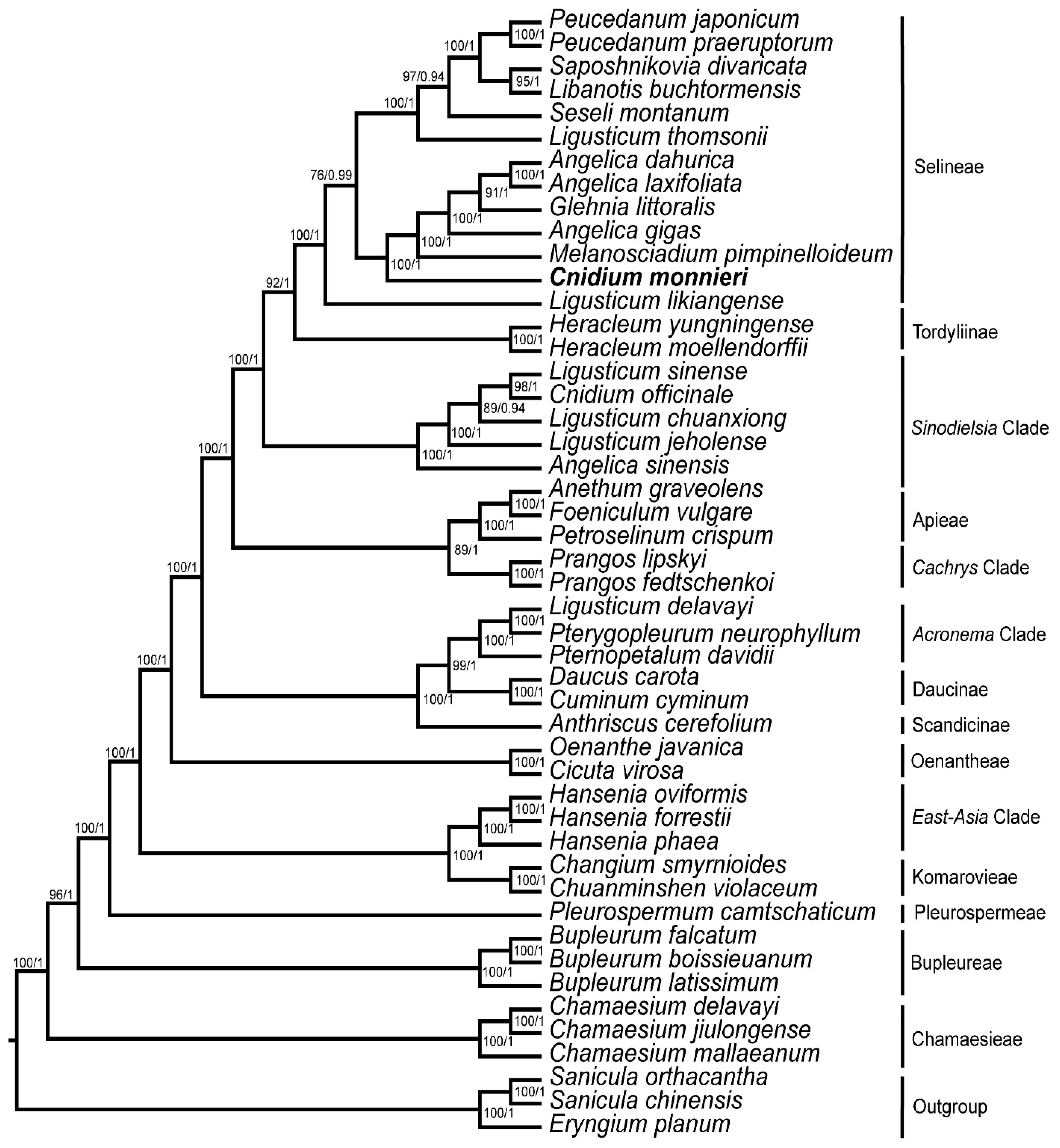 Diversity 14 00323 g007 Diversity 14 00323 g007