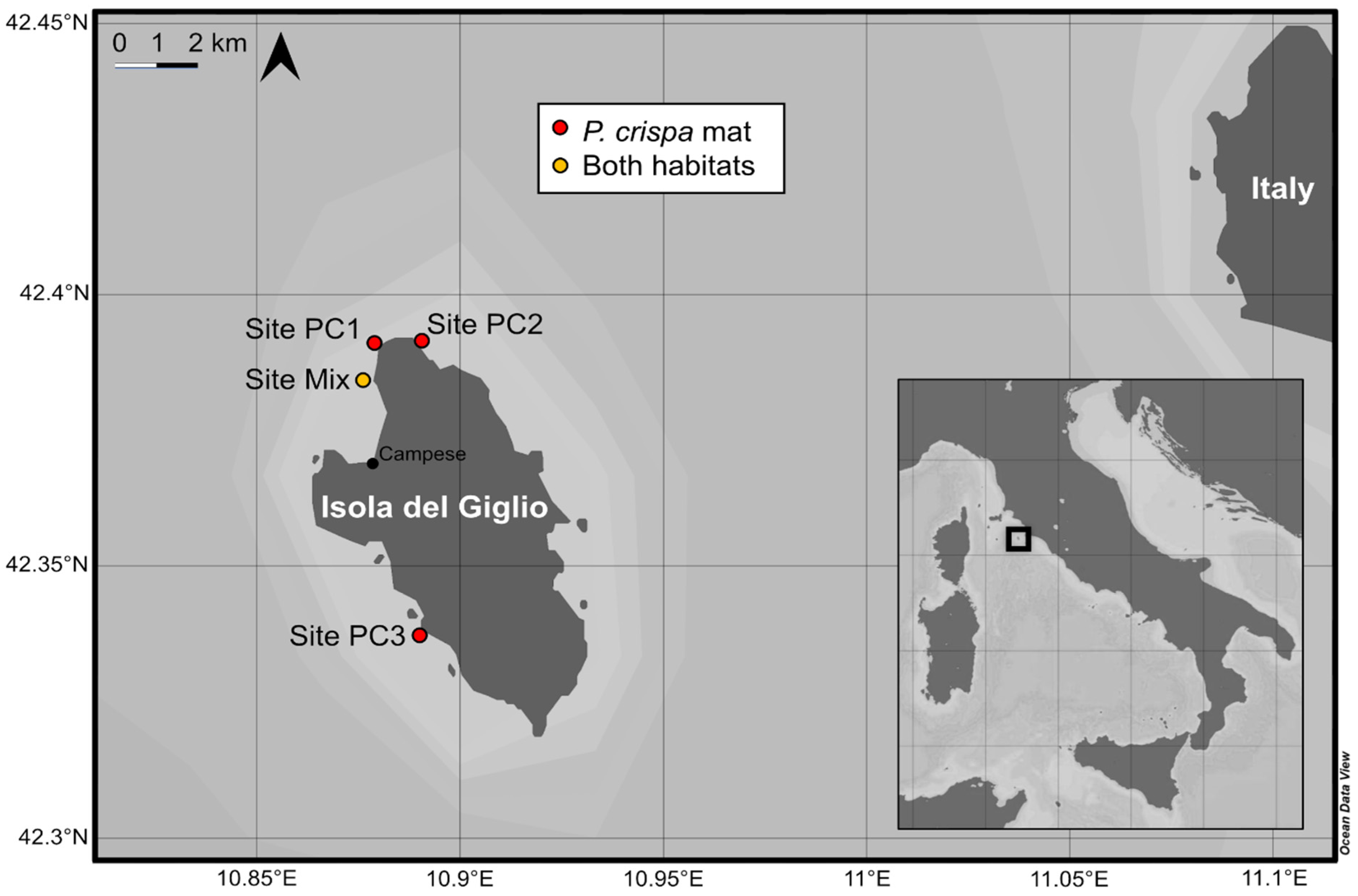 Diversity 14 00346 g002