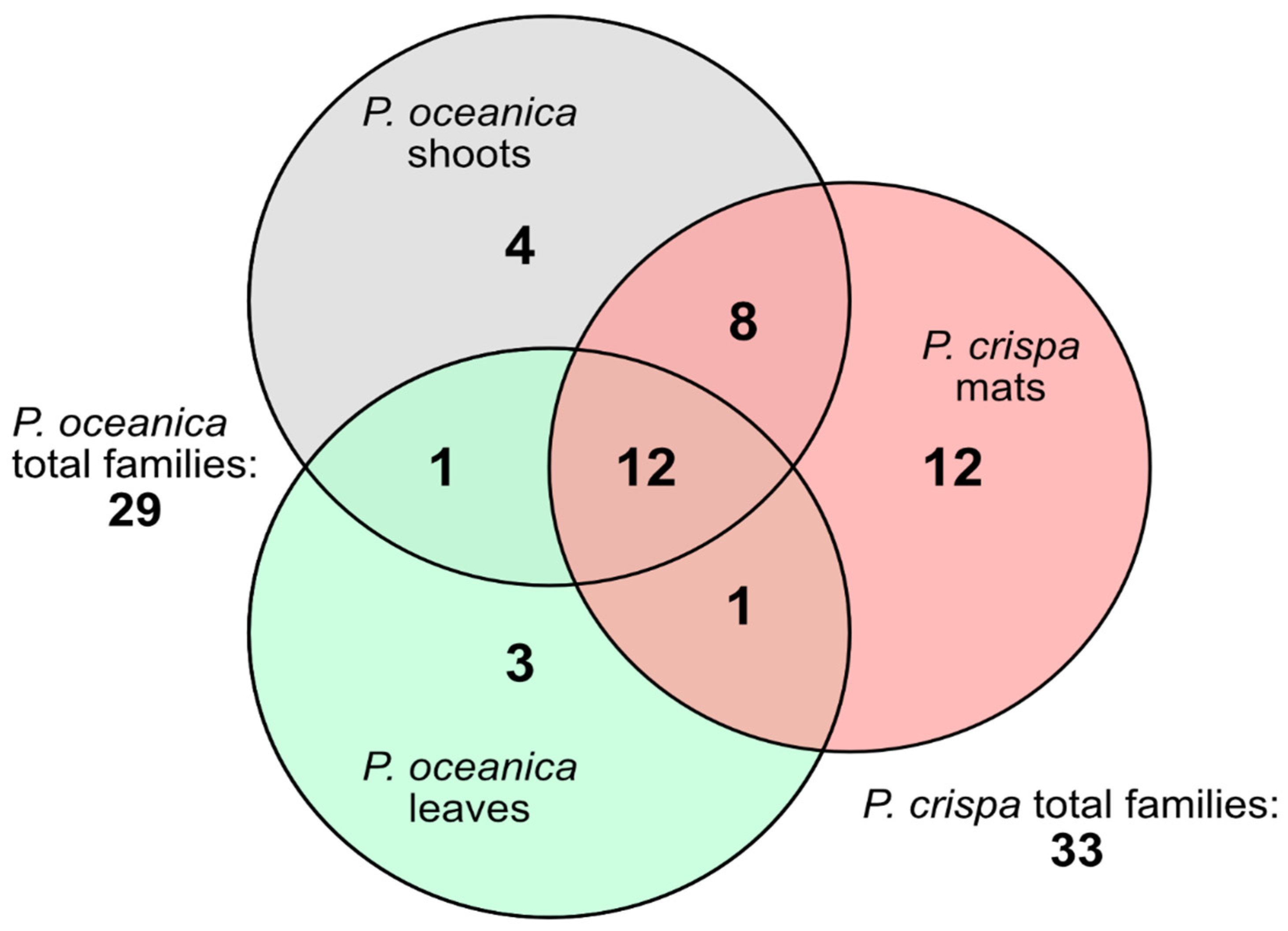 Diversity 14 00346 g003