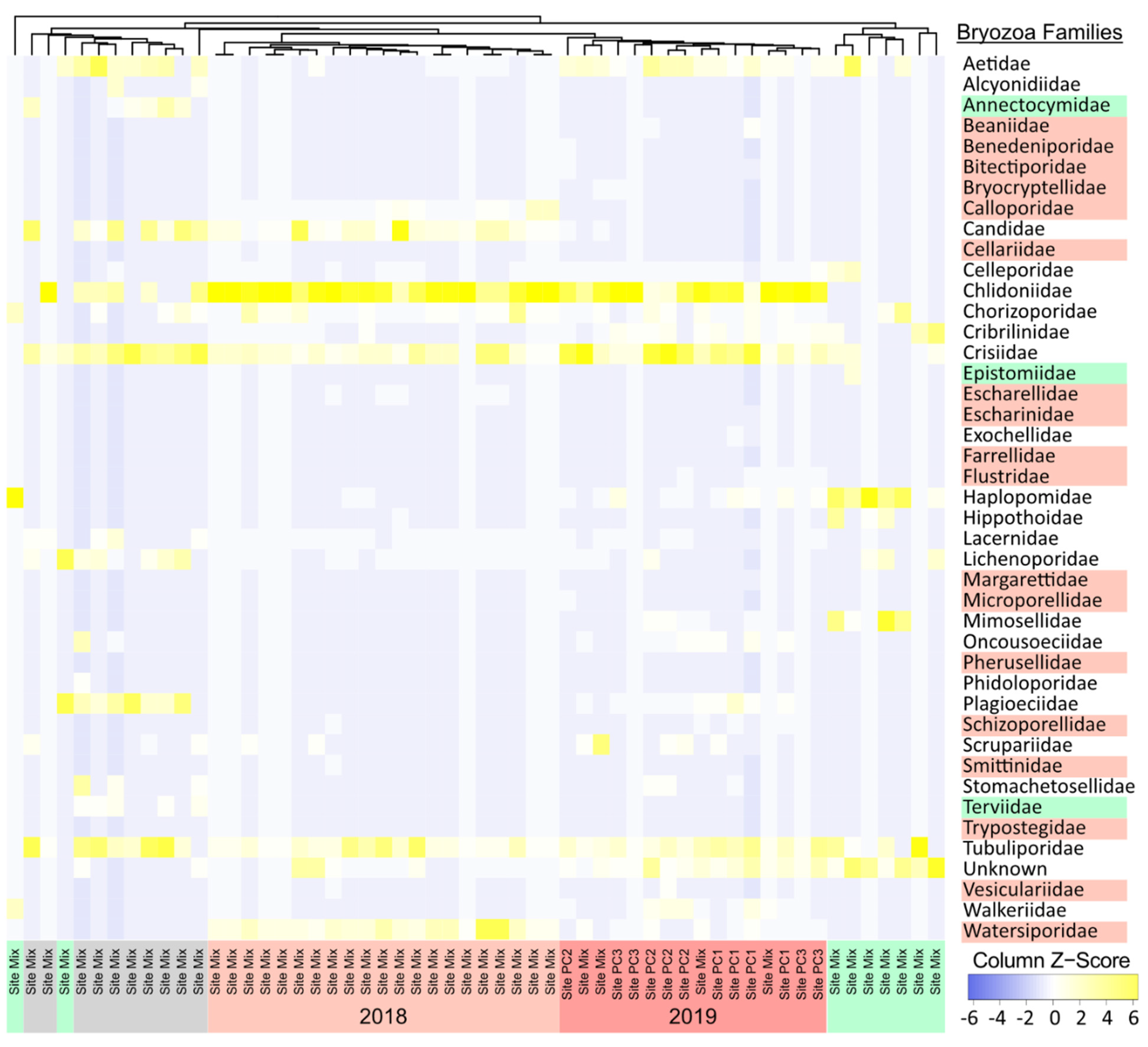 Diversity 14 00346 g005