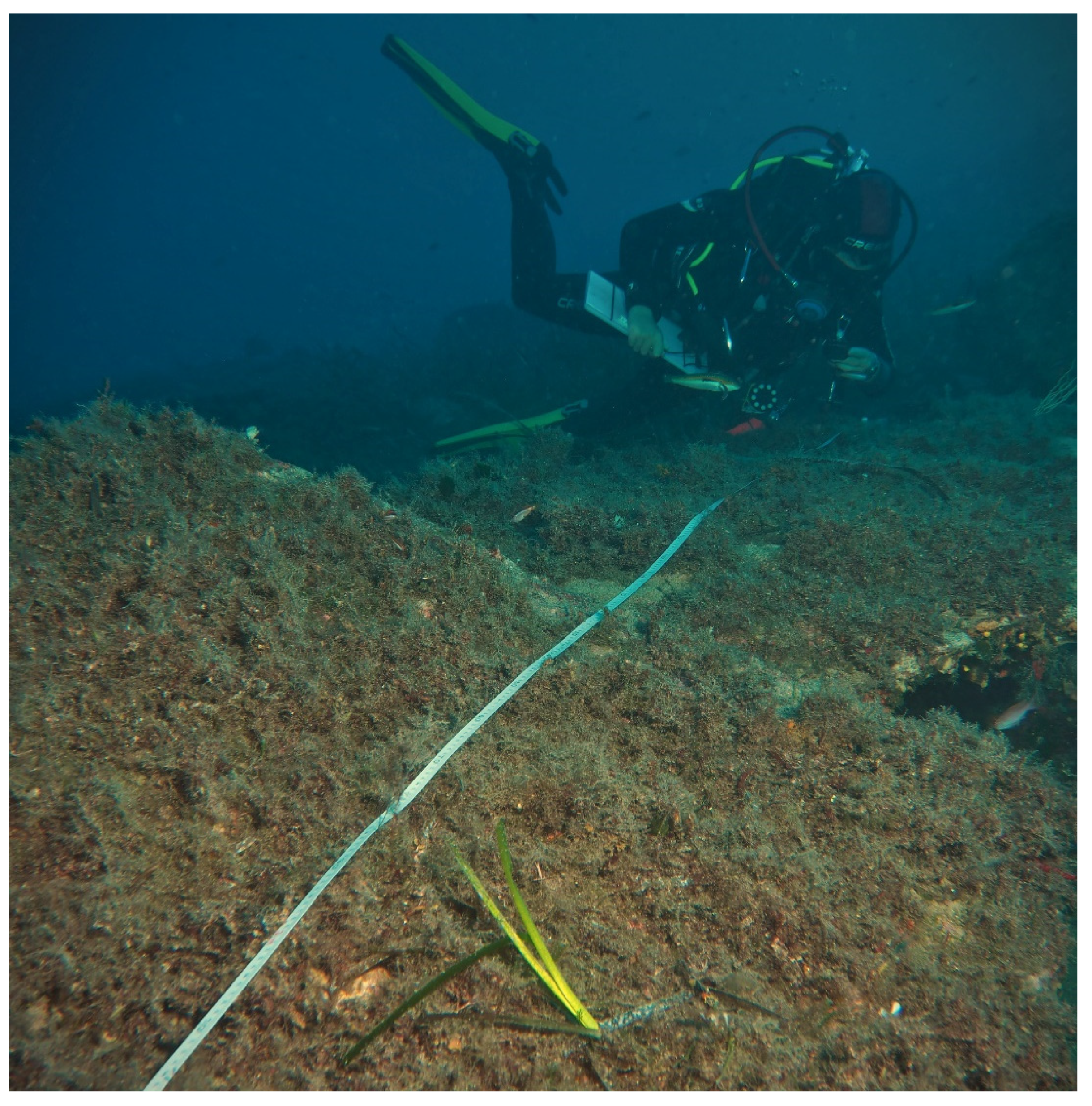 Diversity 14 00346 g0a1