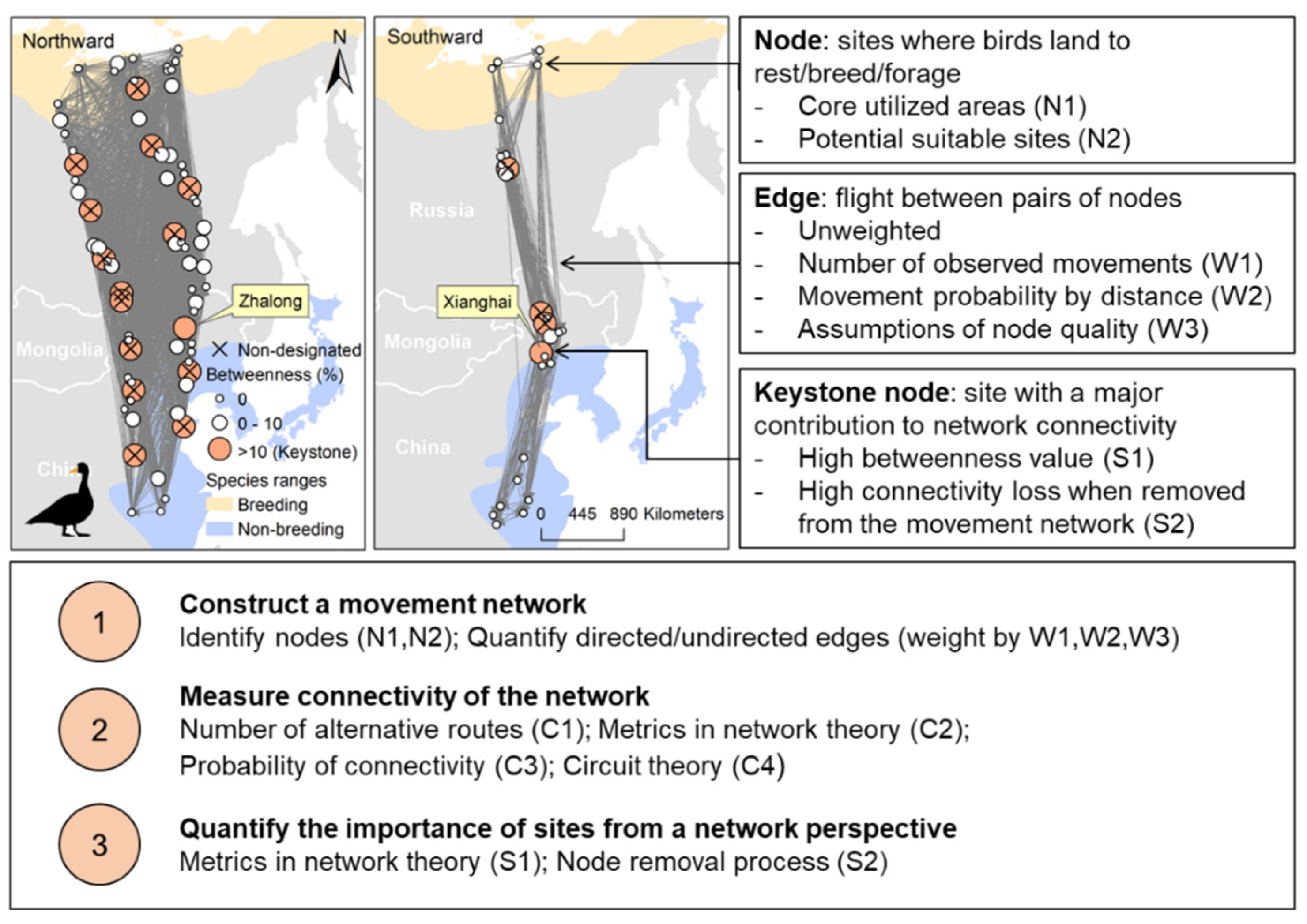 Diversity 14 00353 g002 Diversity 14 00353 g002