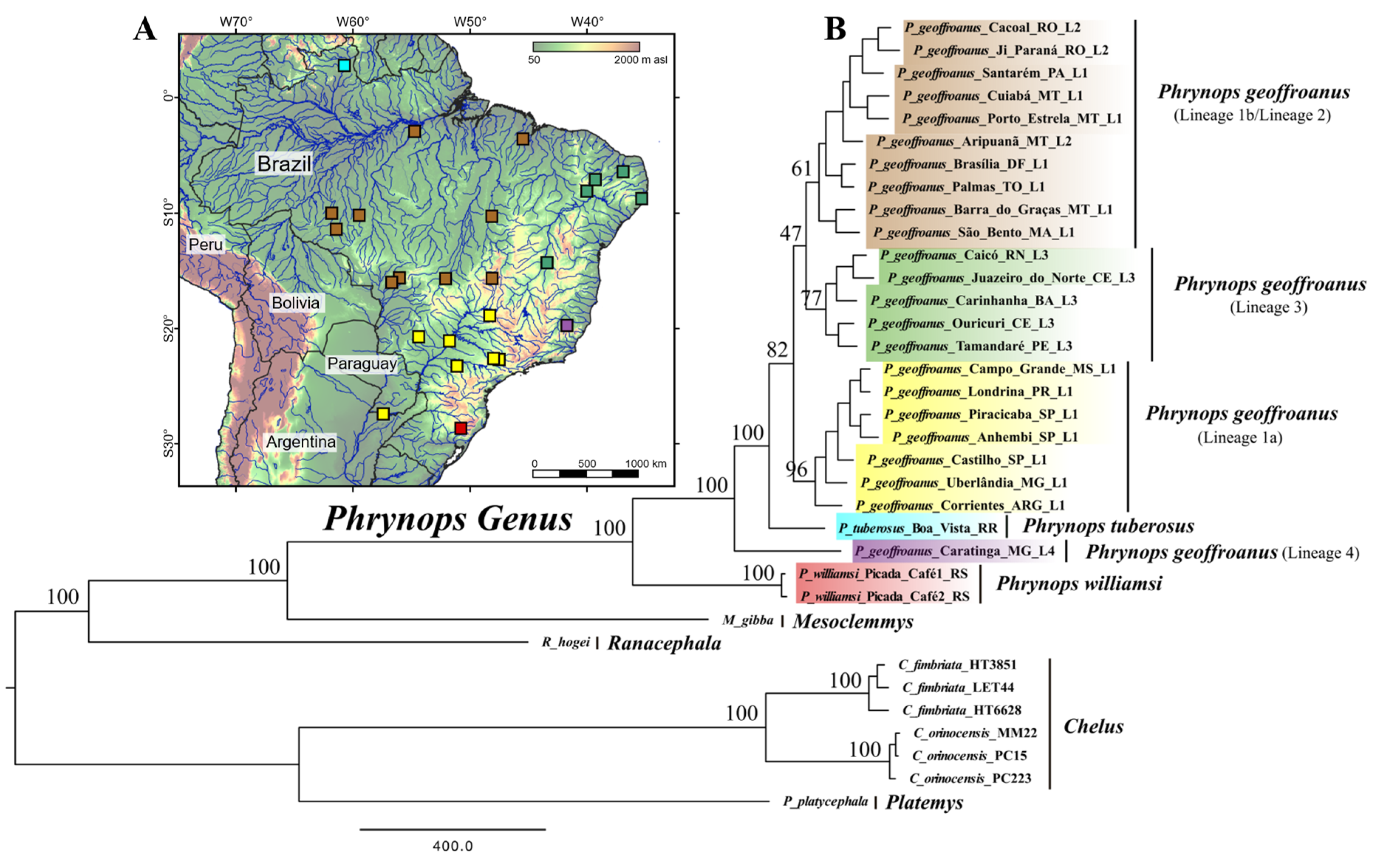 Diversity 14 00360 g002