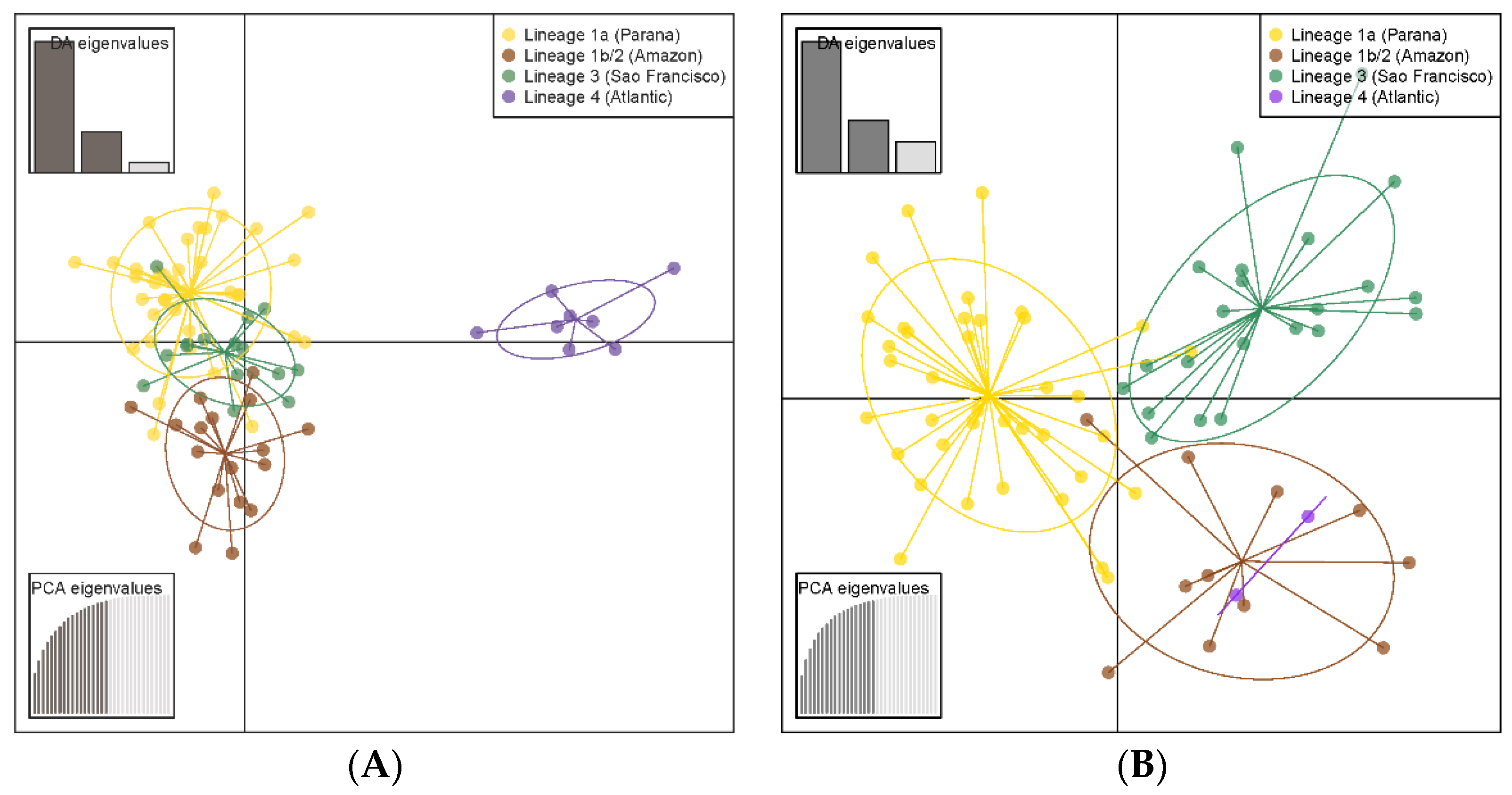 Diversity 14 00360 g005