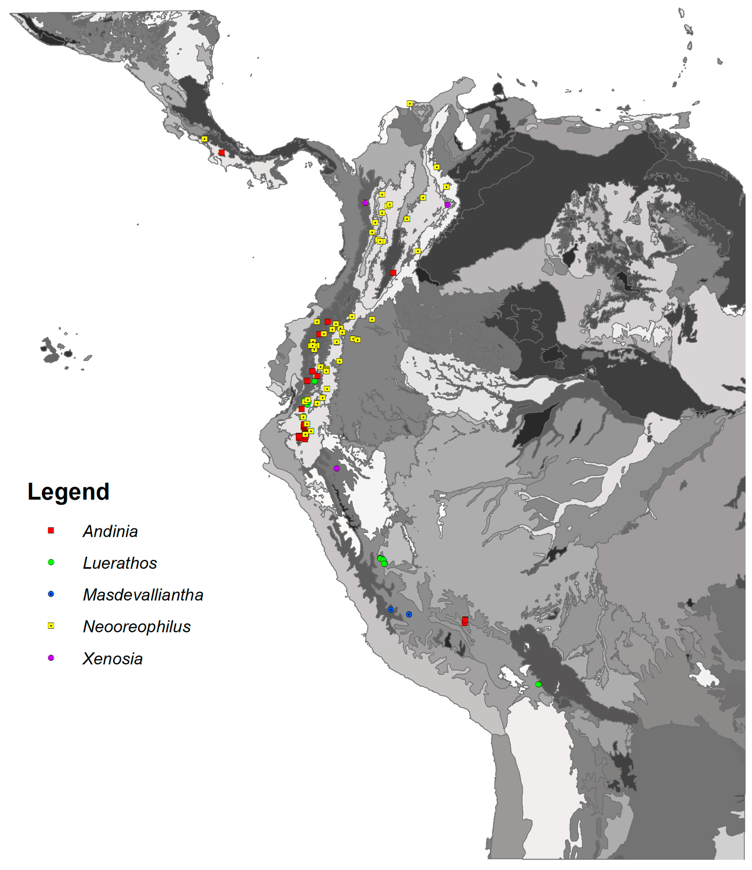 Diversity 14 00372 g001