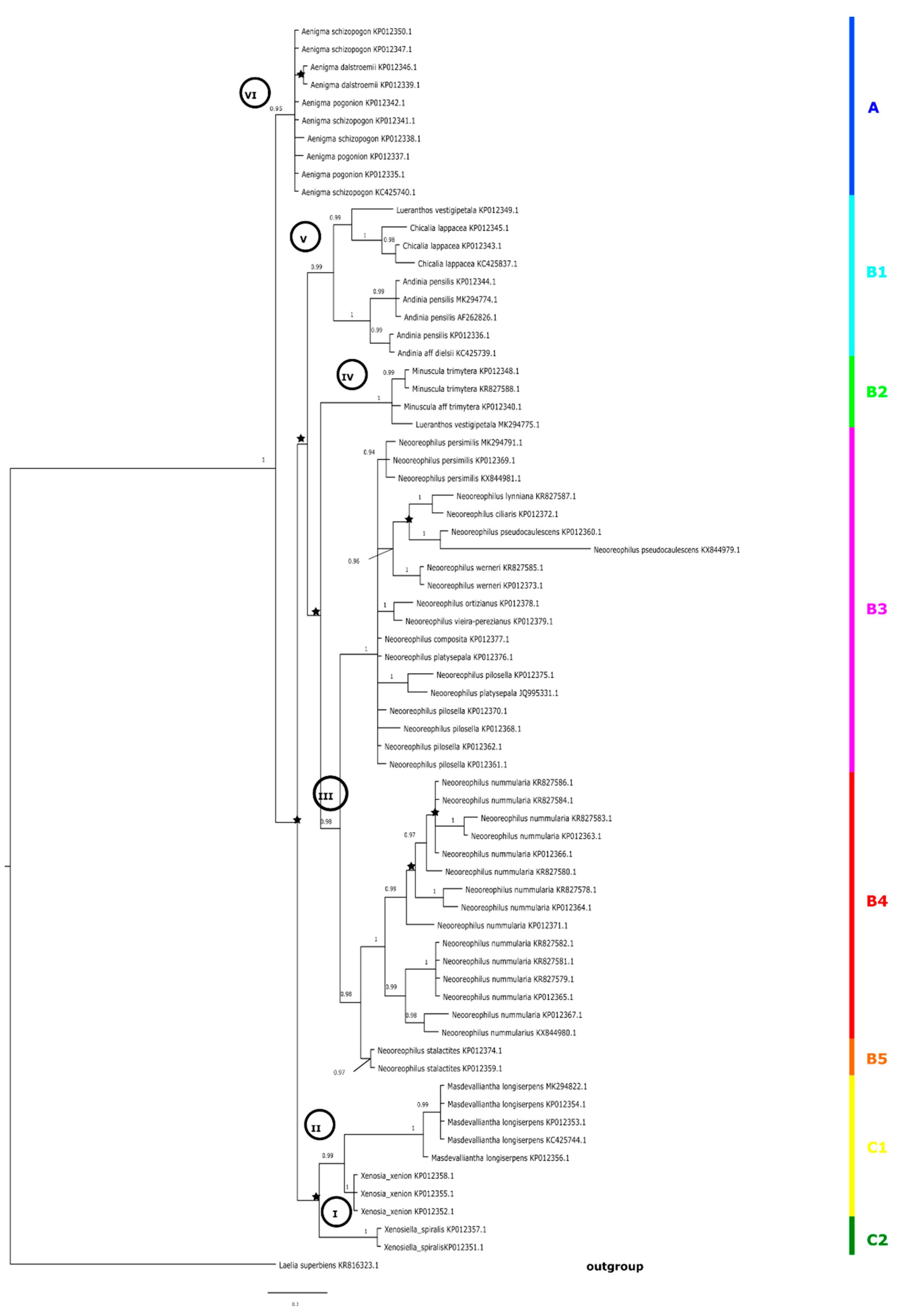 Diversity 14 00372 g002