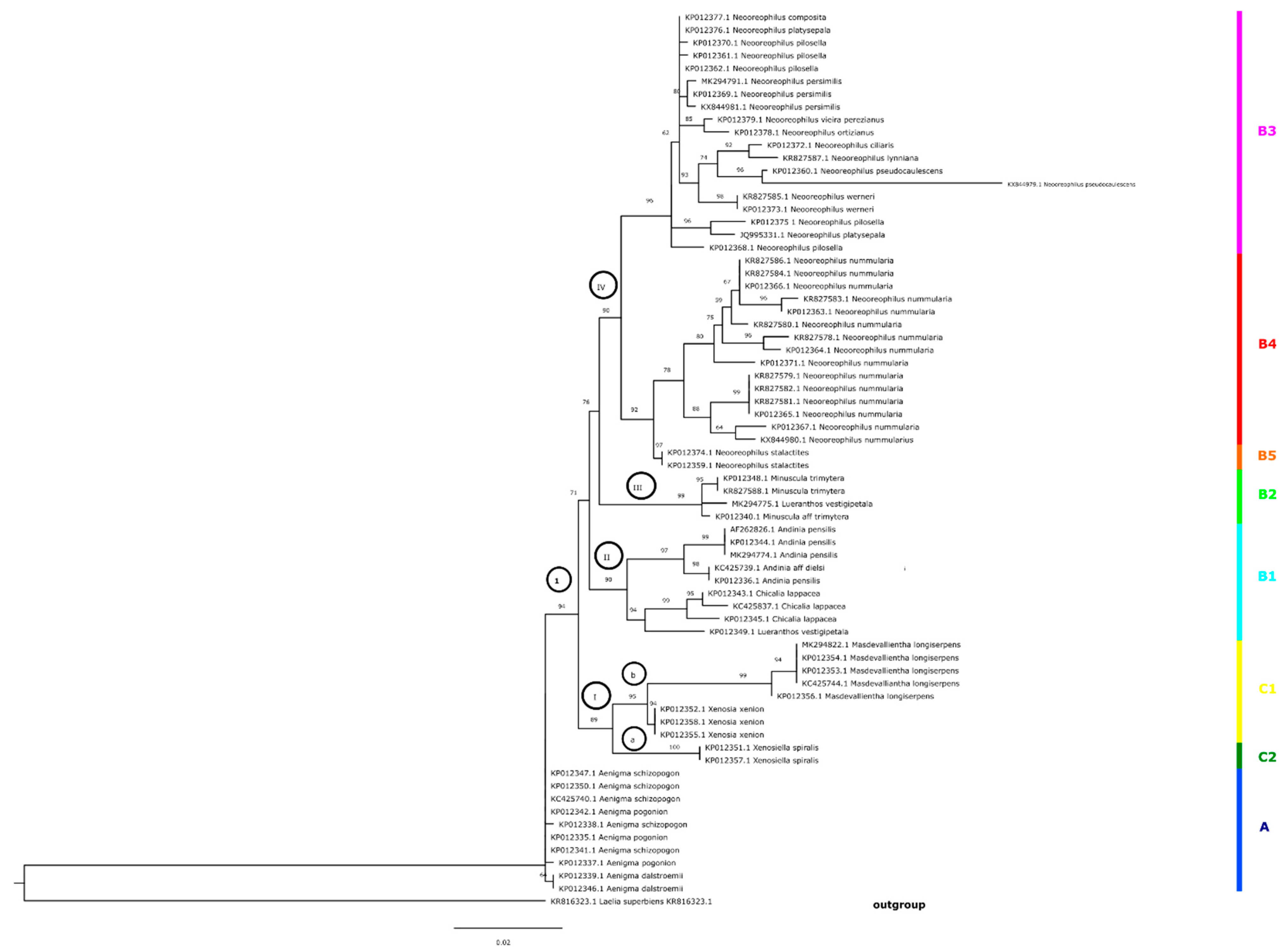Diversity 14 00372 g003