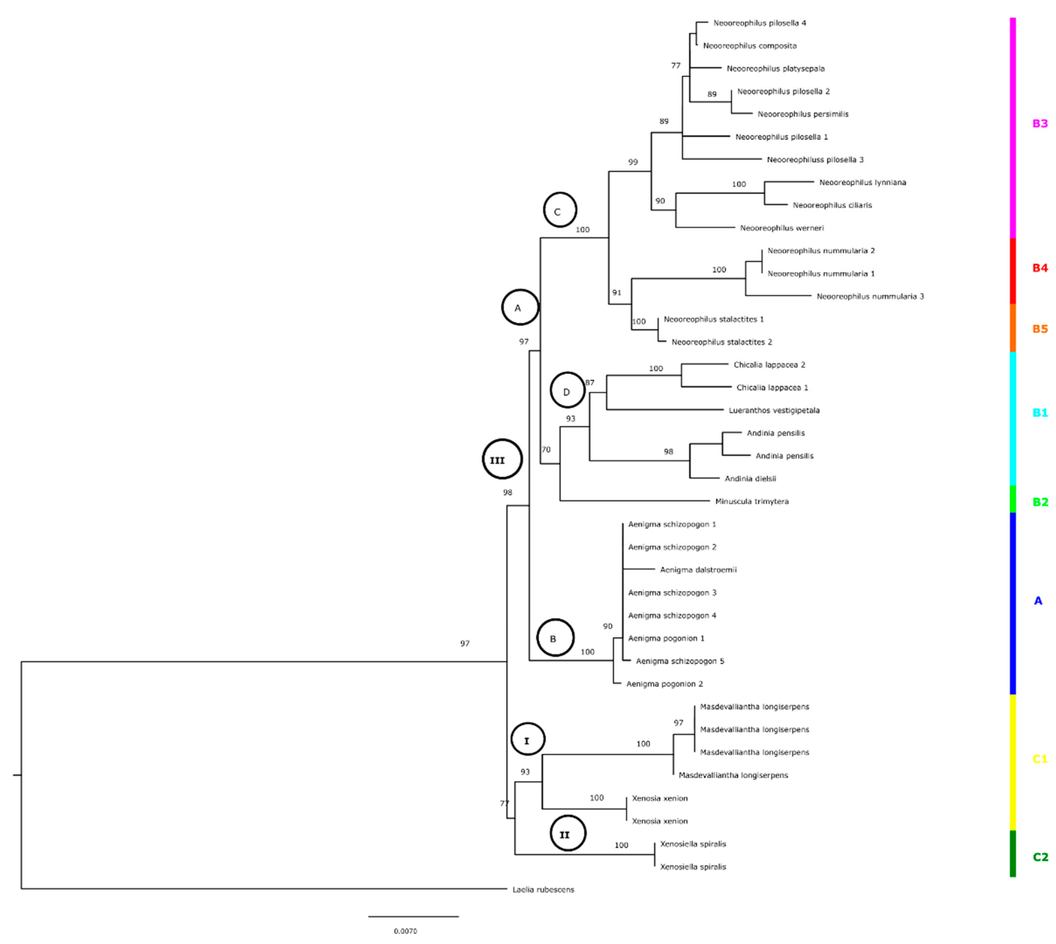 Diversity 14 00372 g007