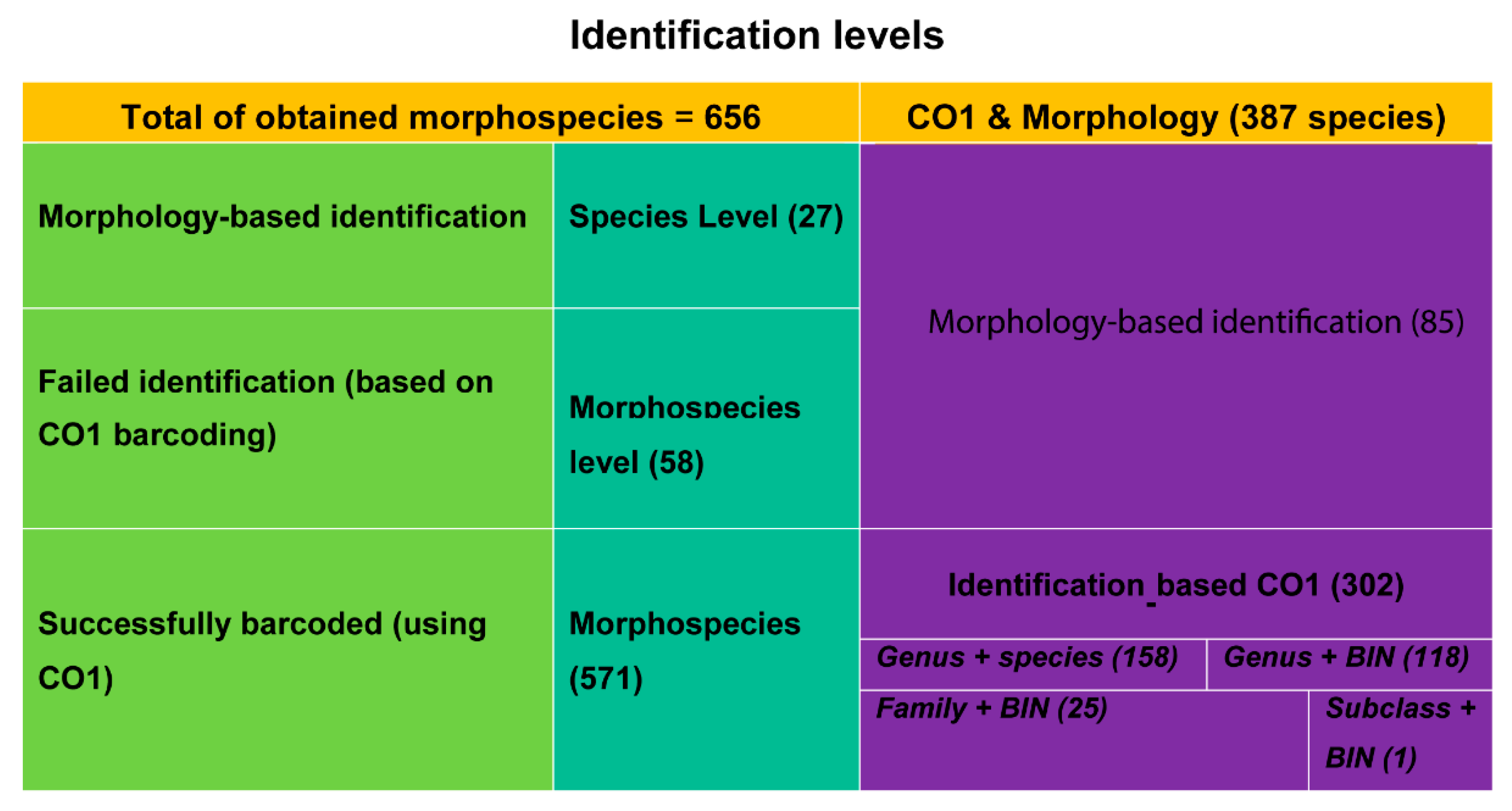 Diversity 14 00377 g003
