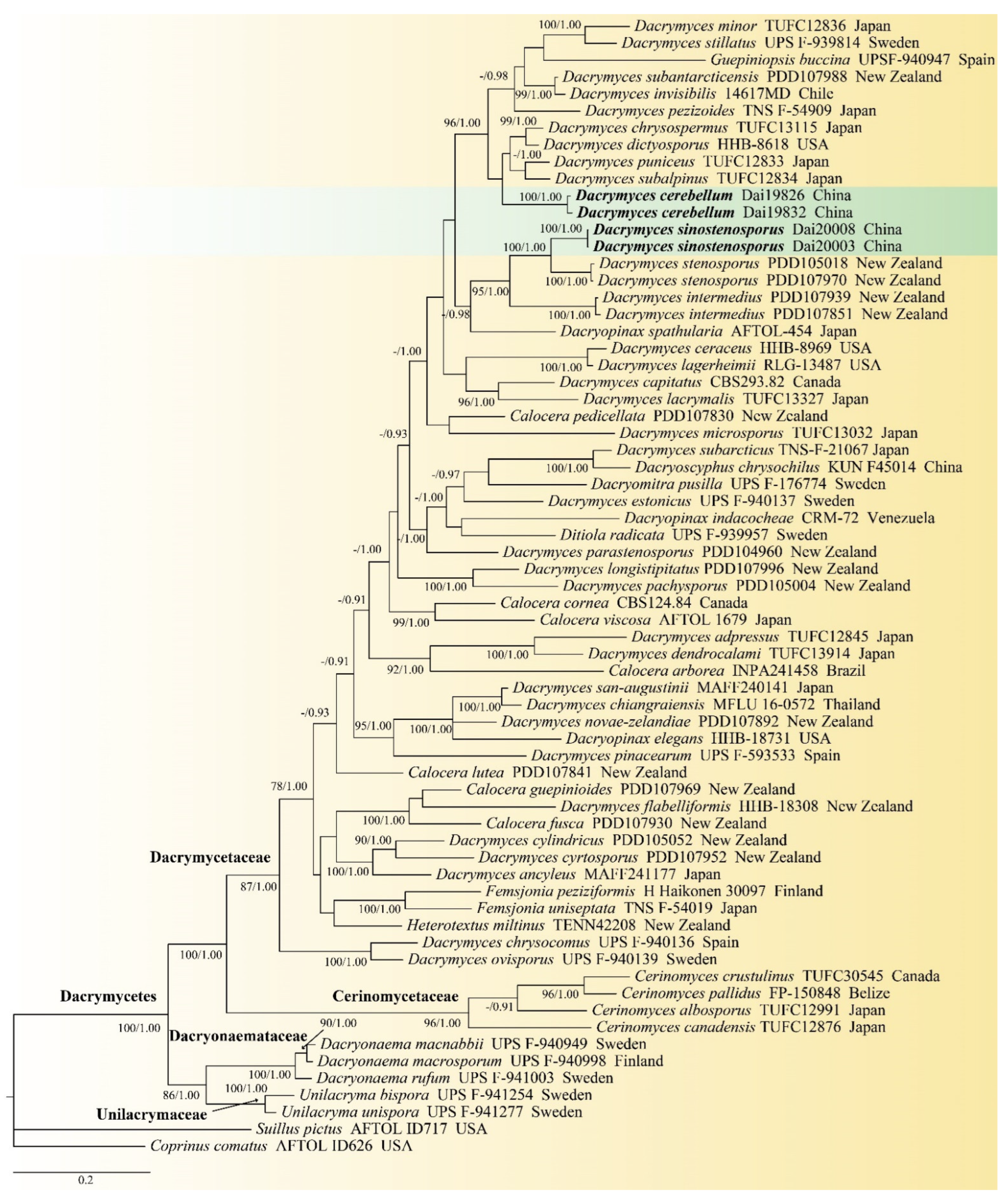Diversity 14 00379 g001