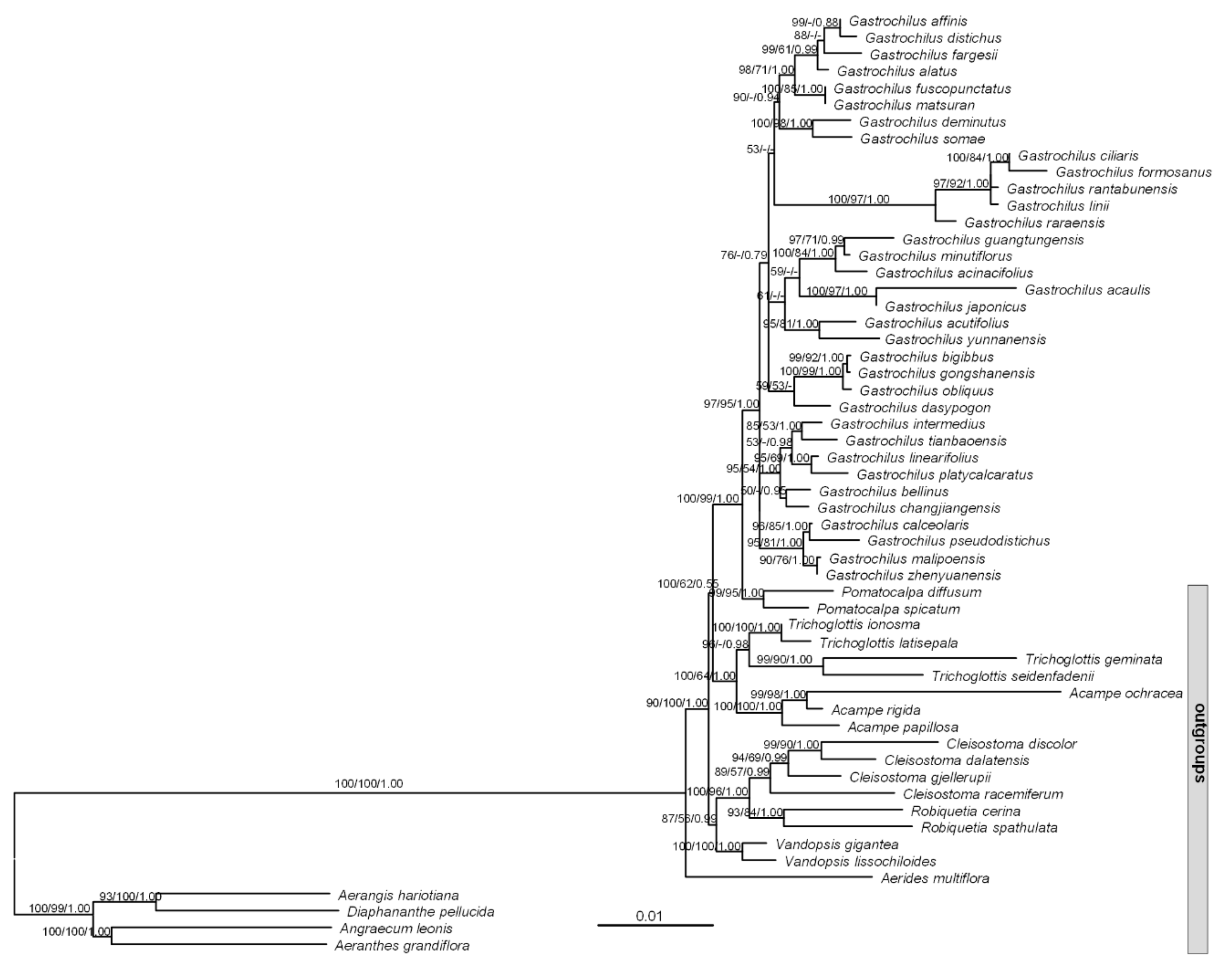 Diversity 14 00396 g001