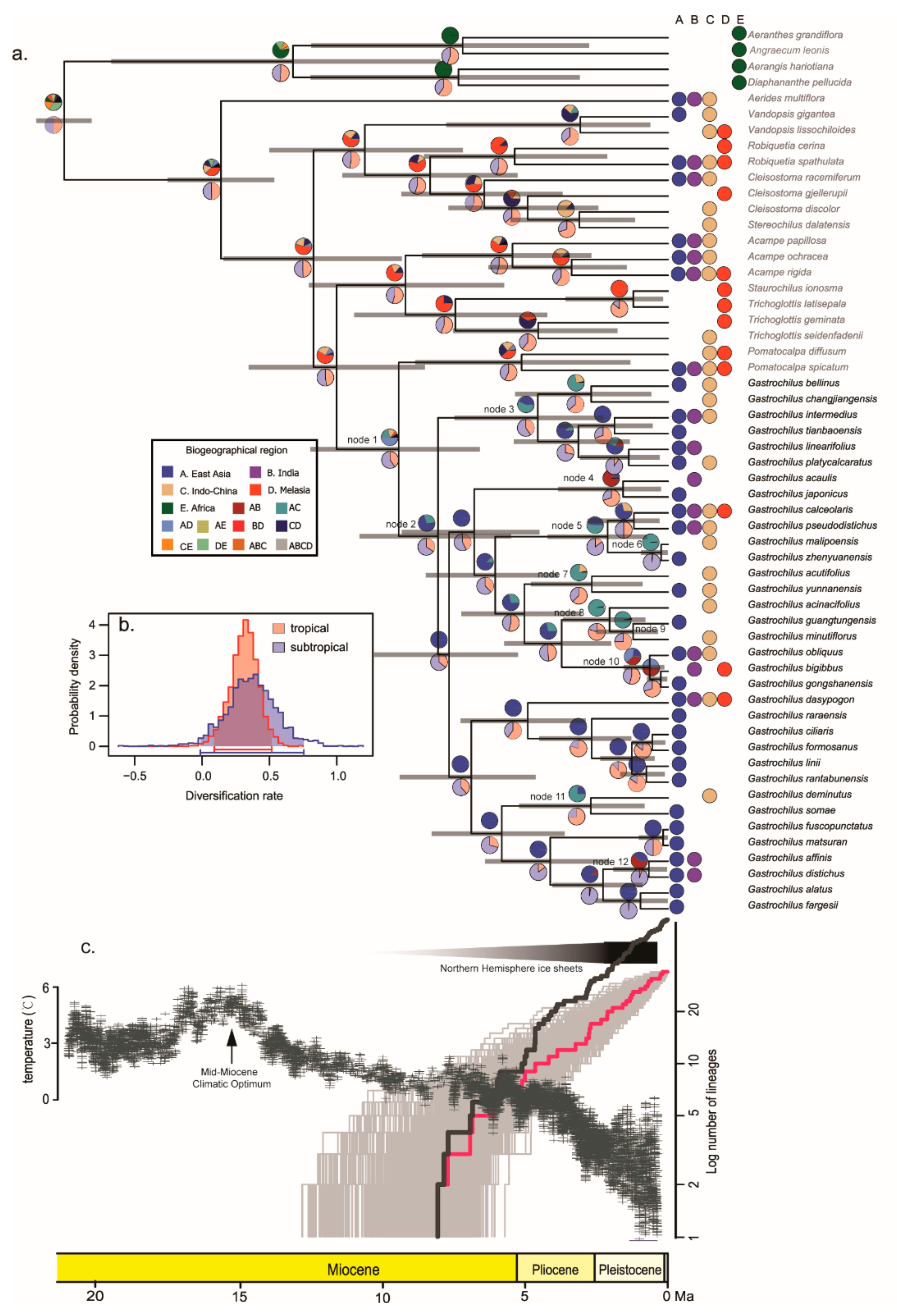 Diversity 14 00396 g002