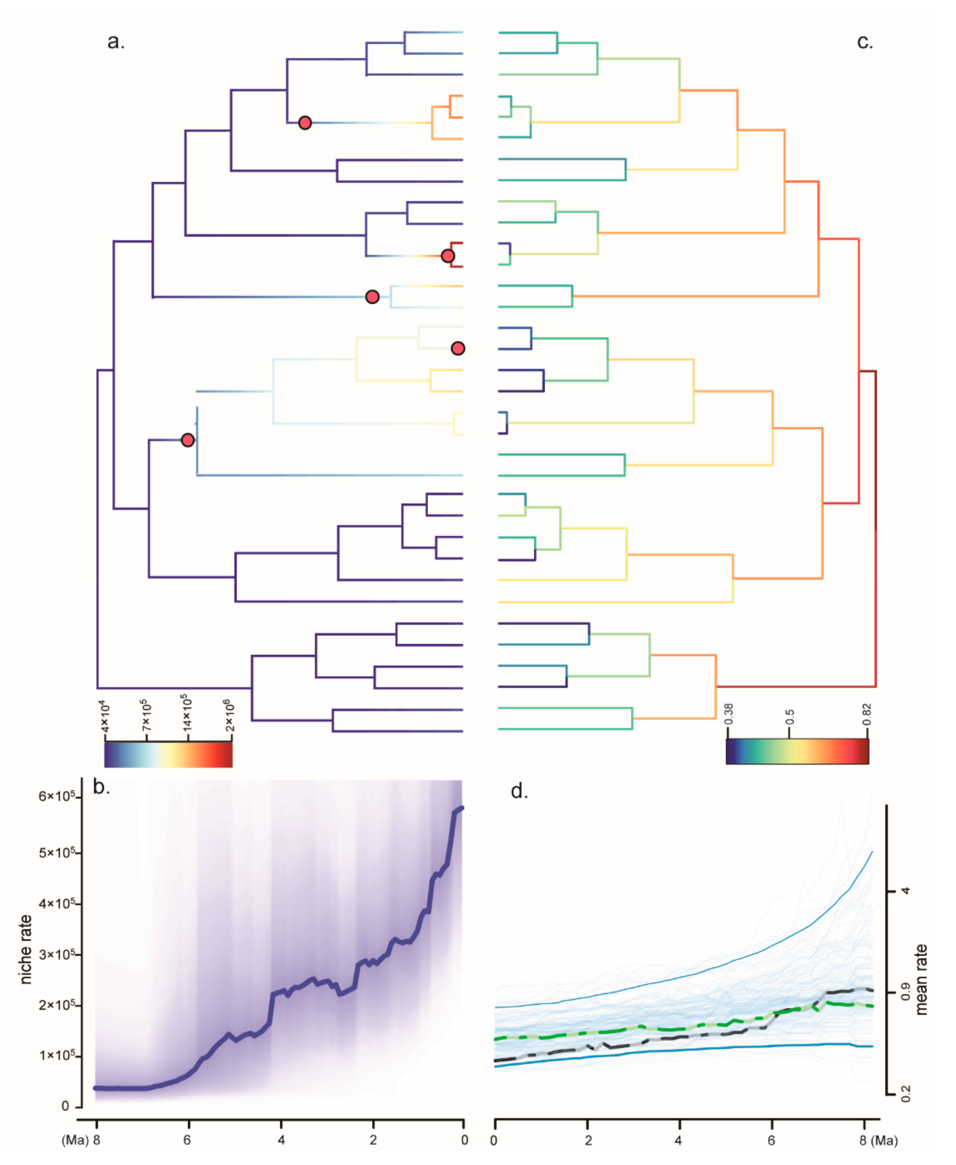 Diversity 14 00396 g003
