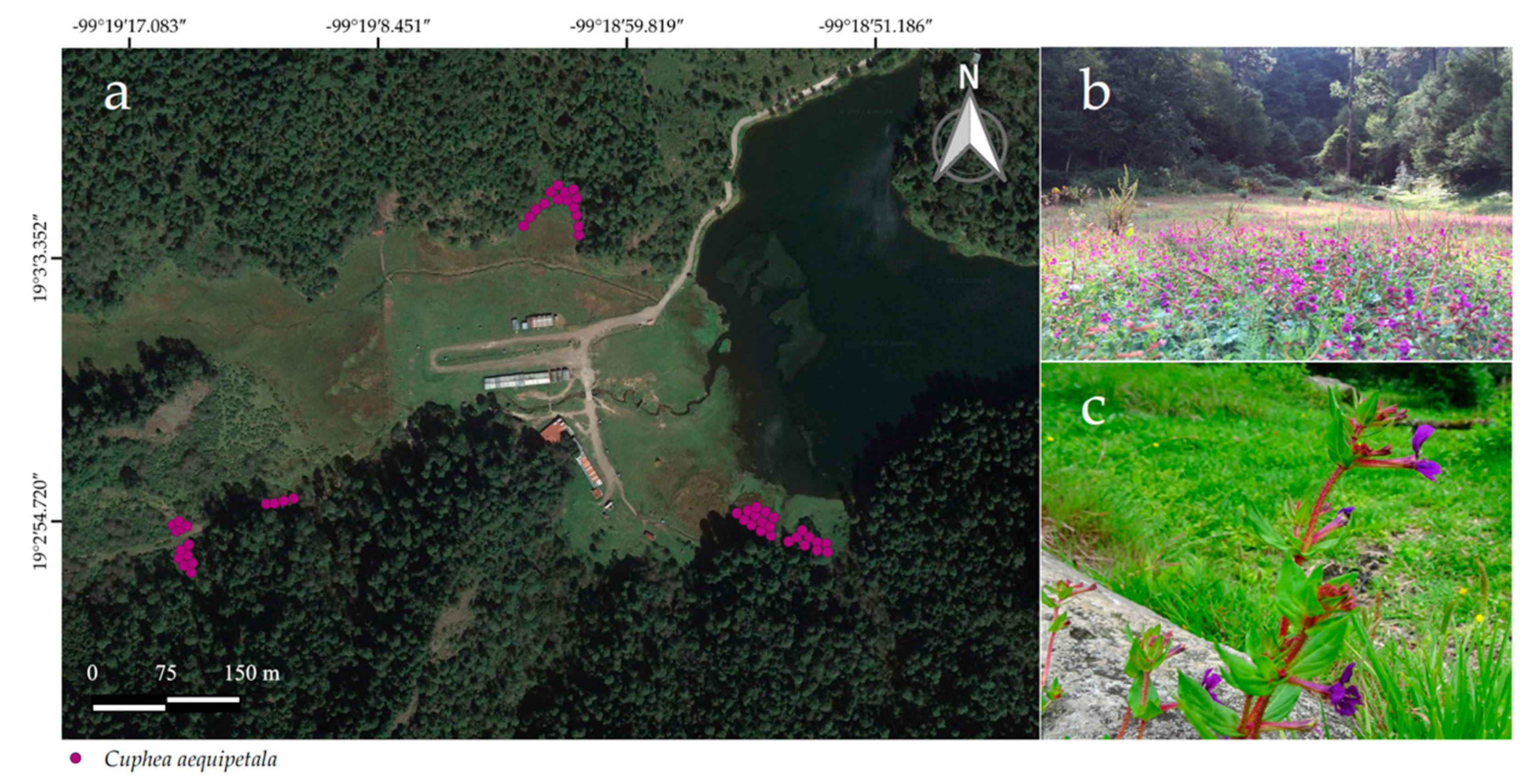 Diversity 14 00403 g001