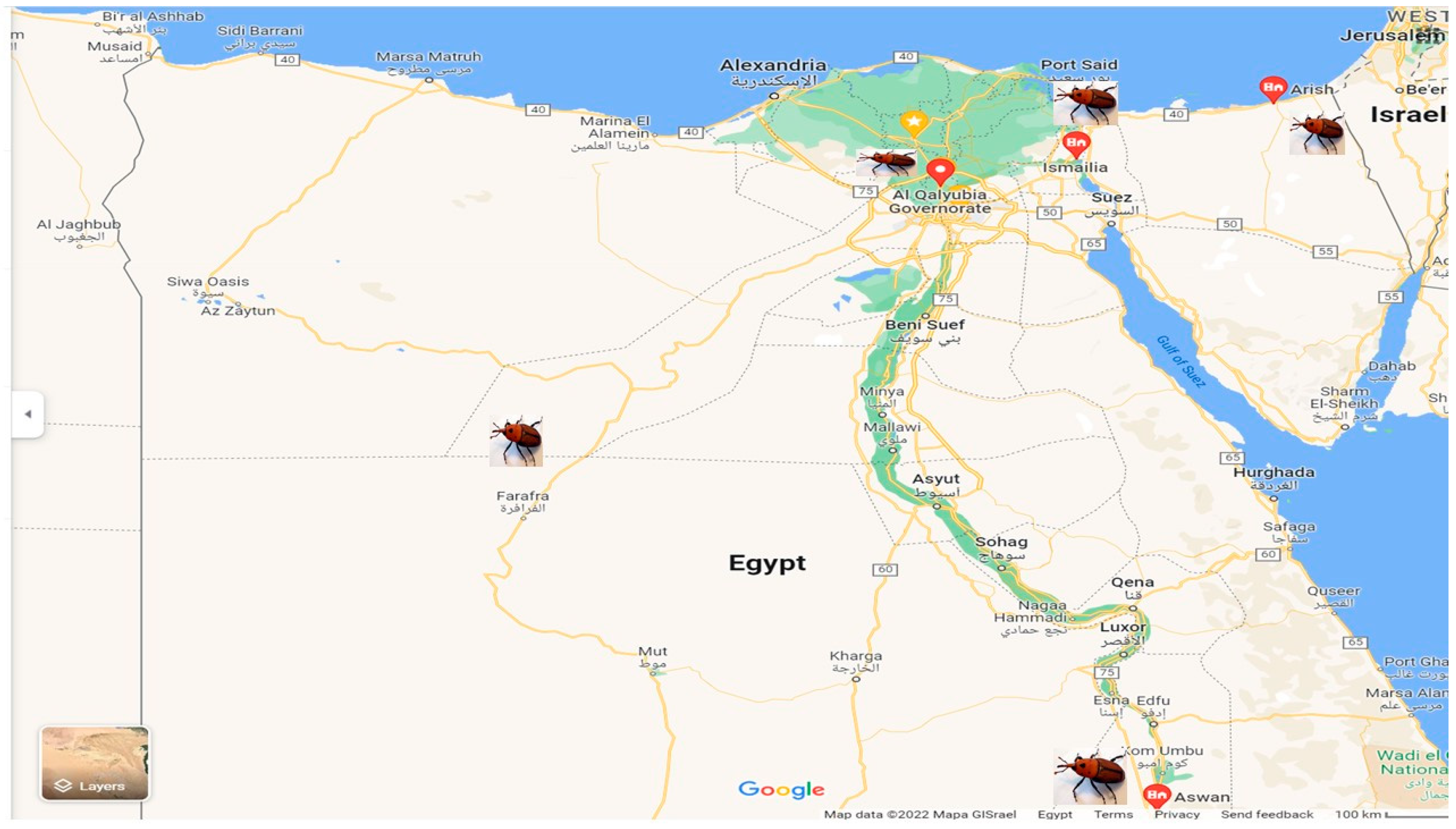 Diversity 14 00404 g001 Diversity 14 00404 g001