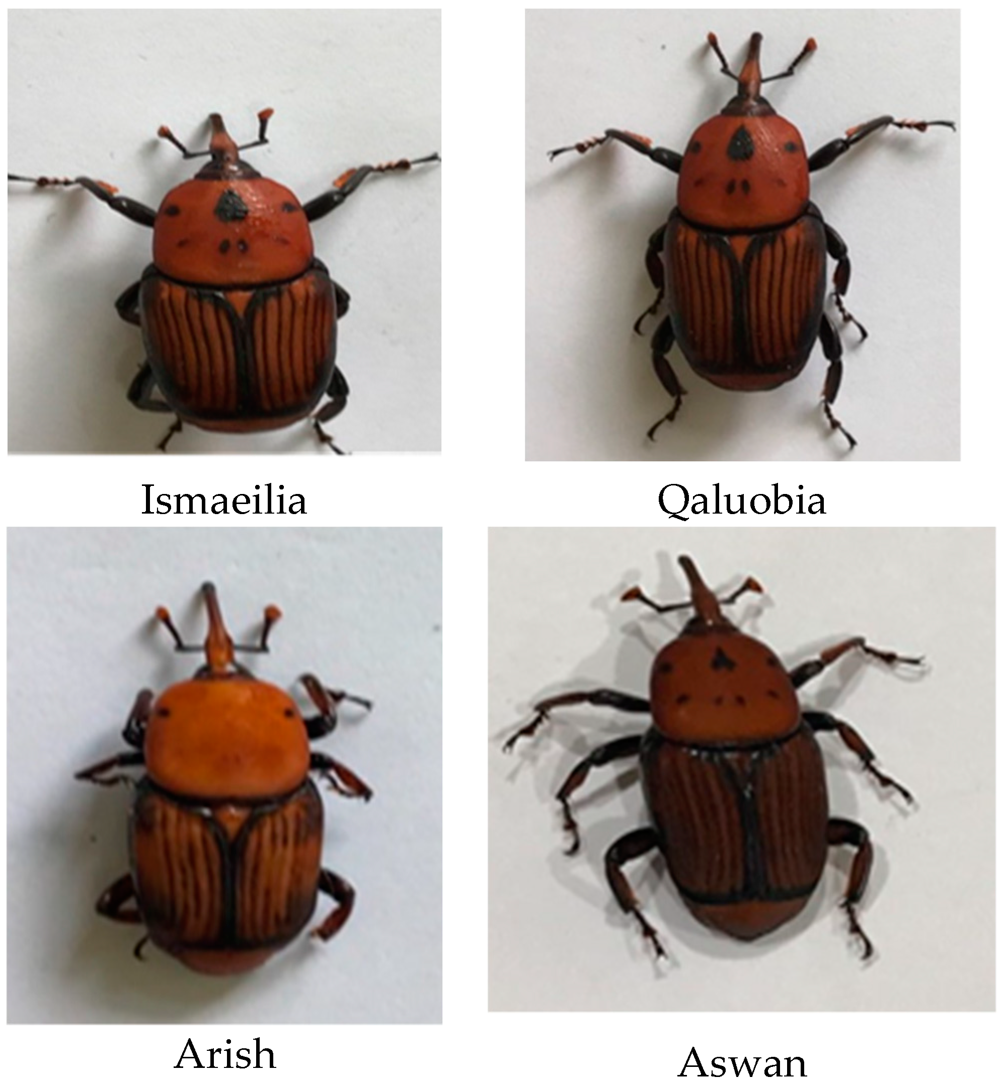 Diversity 14 00404 g002a Diversity 14 00404 g002a