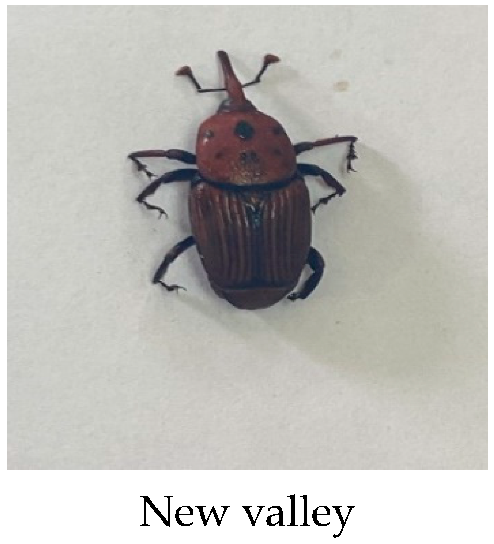 Diversity 14 00404 g002b Diversity 14 00404 g002b