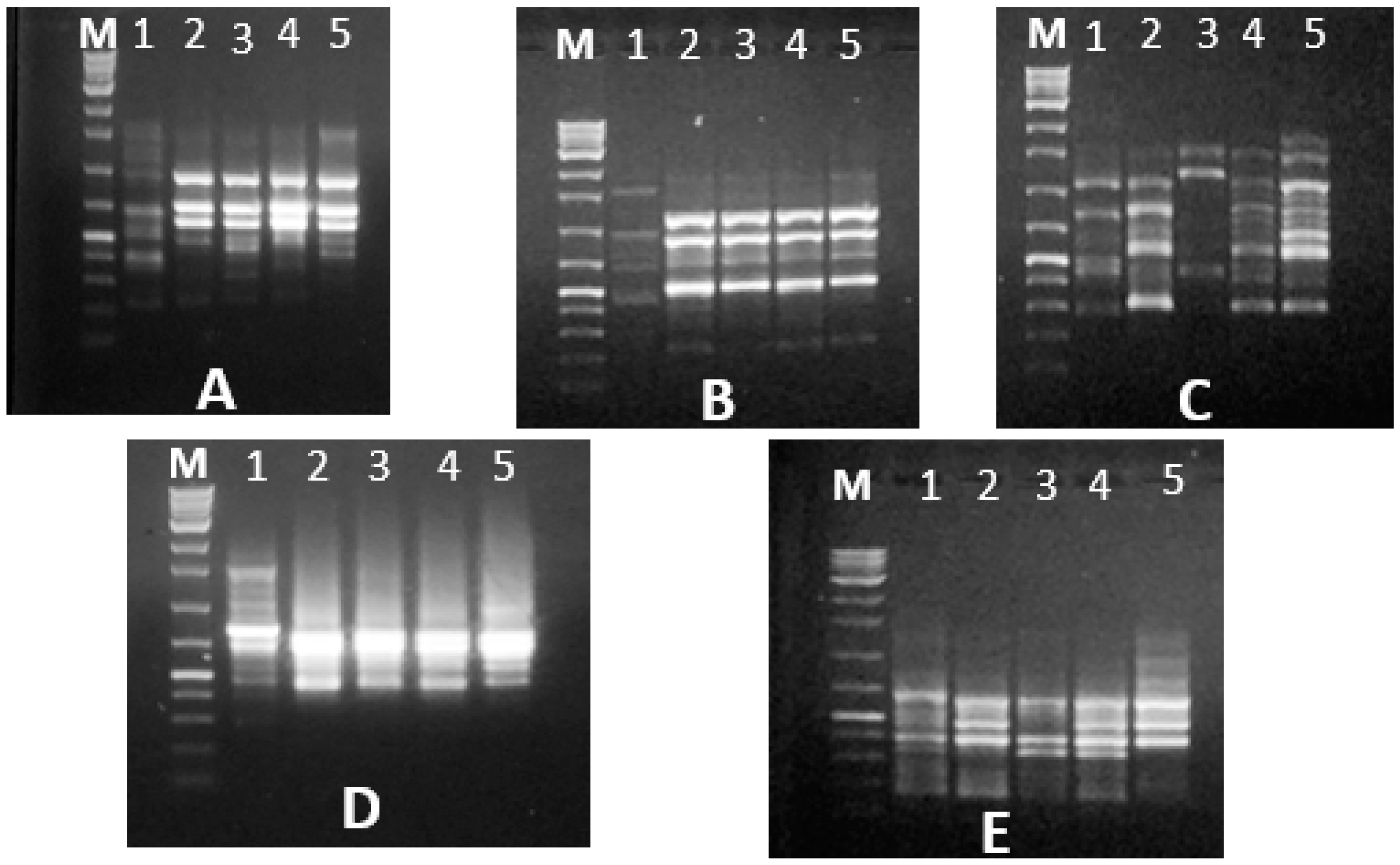 Diversity 14 00404 g007 Diversity 14 00404 g007