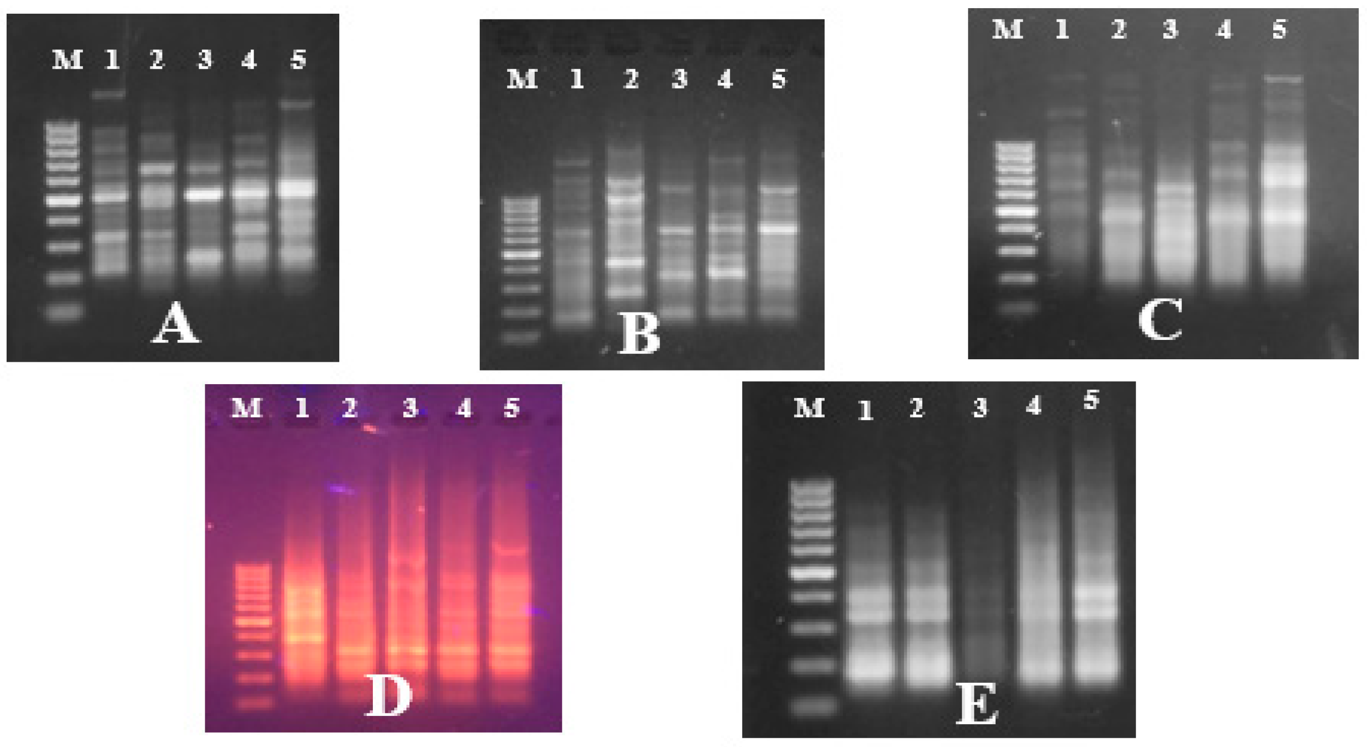 Diversity 14 00404 g008 Diversity 14 00404 g008
