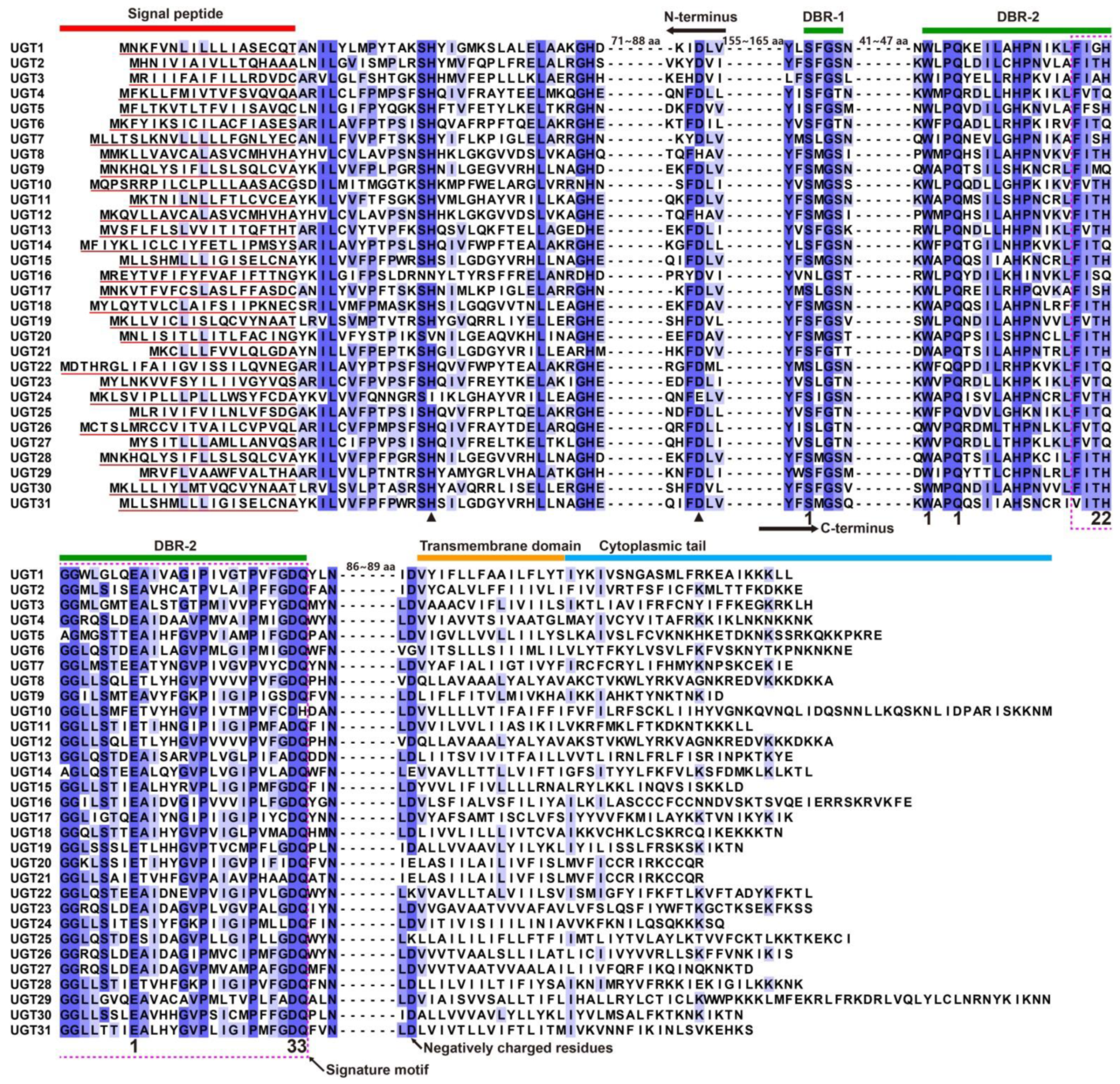 Diversity 14 00407 g001