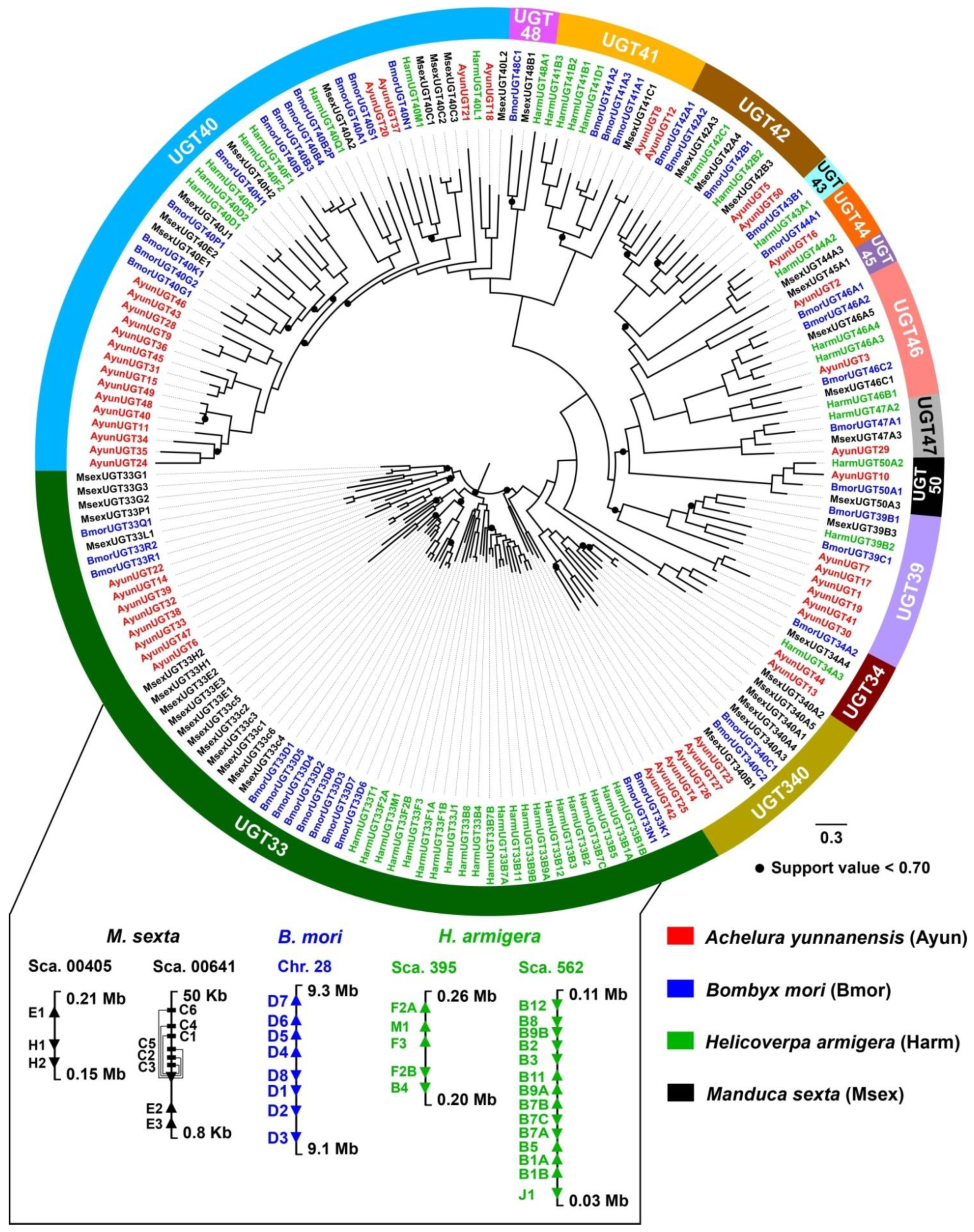 Diversity 14 00407 g002