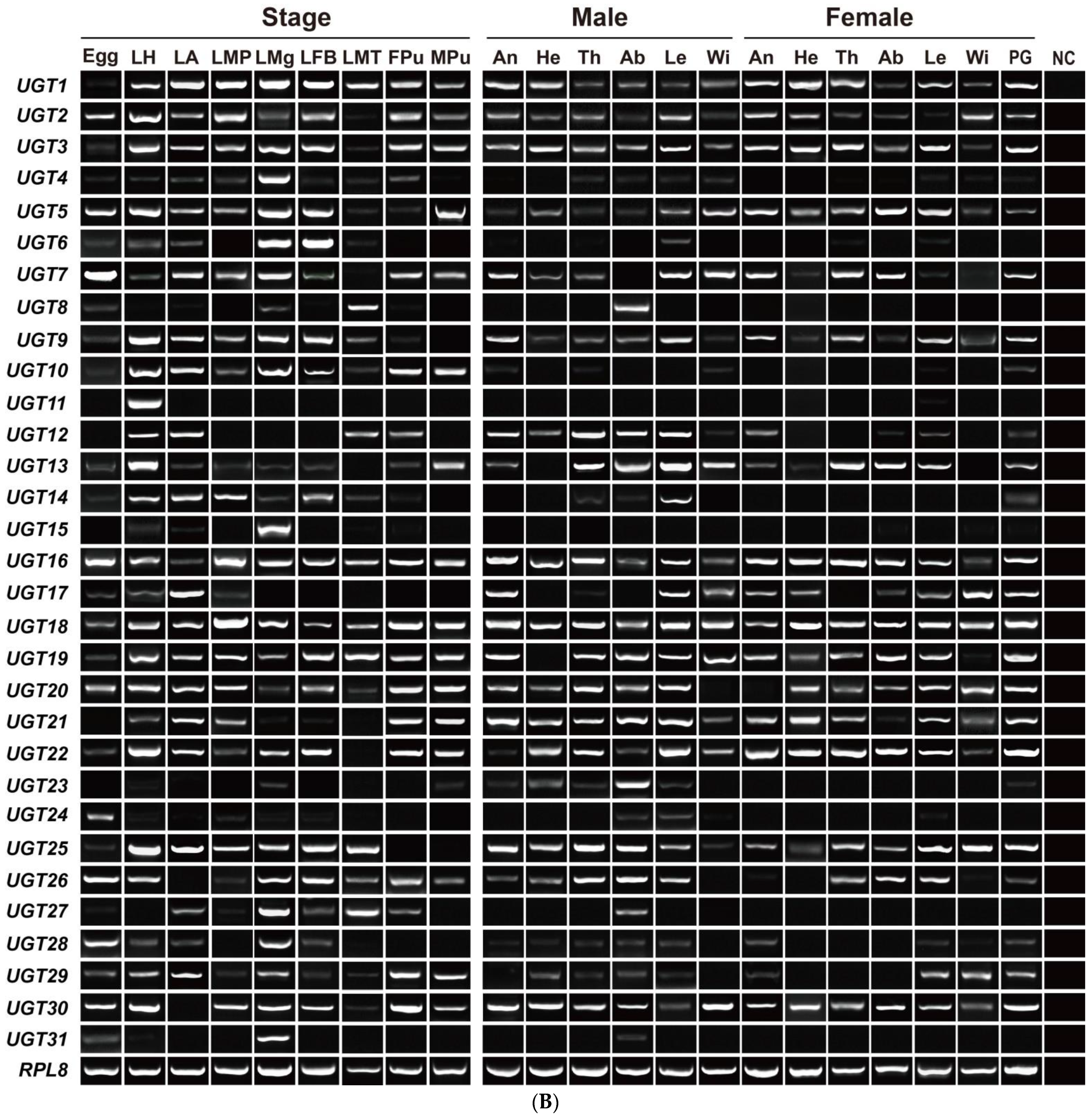 Diversity 14 00407 g003b