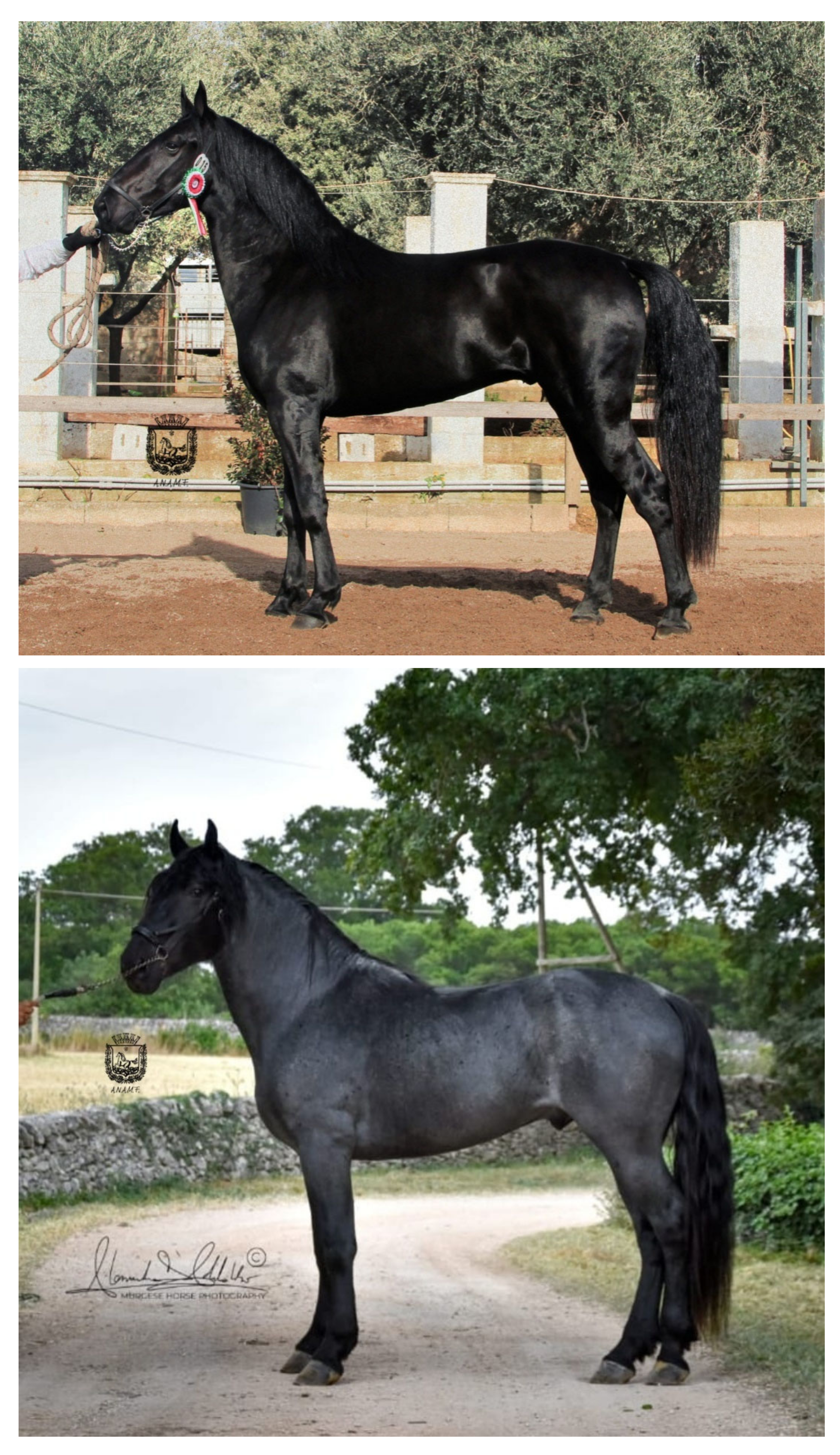 Diversity 14 00422 g001