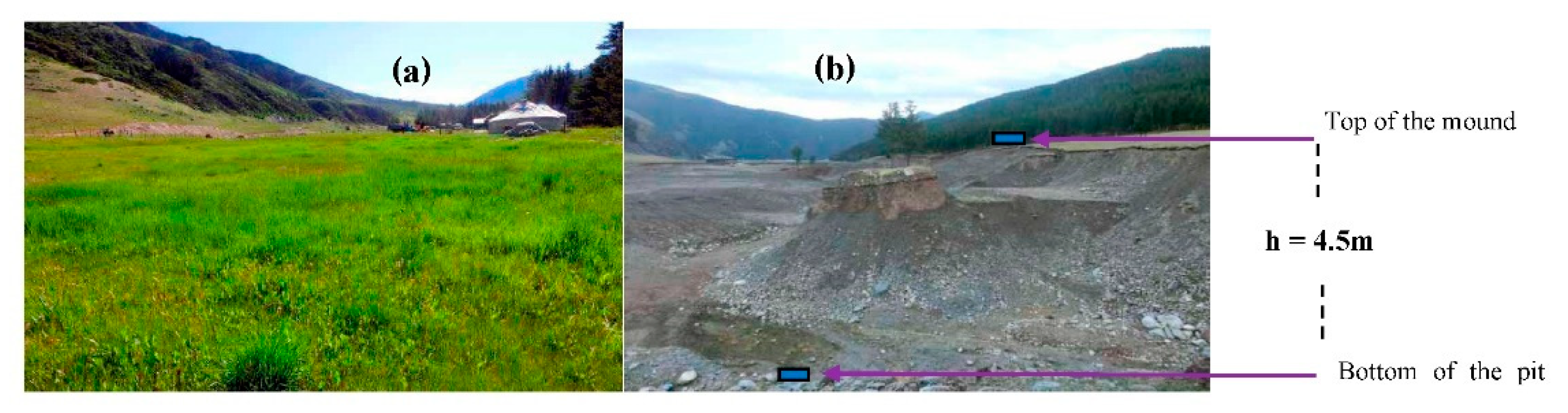 Diversity 14 00427 g002