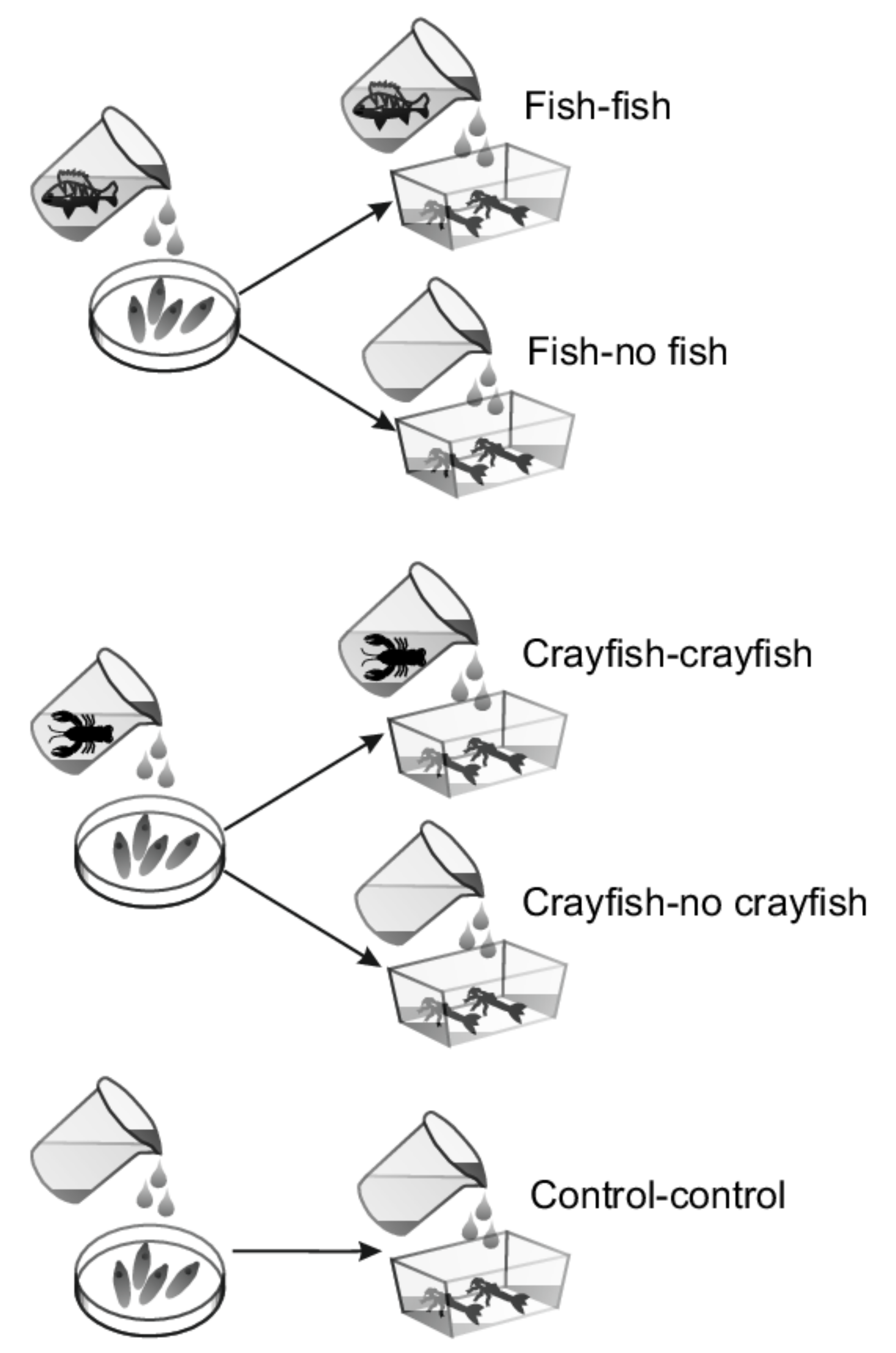 Diversity 14 00428 g001