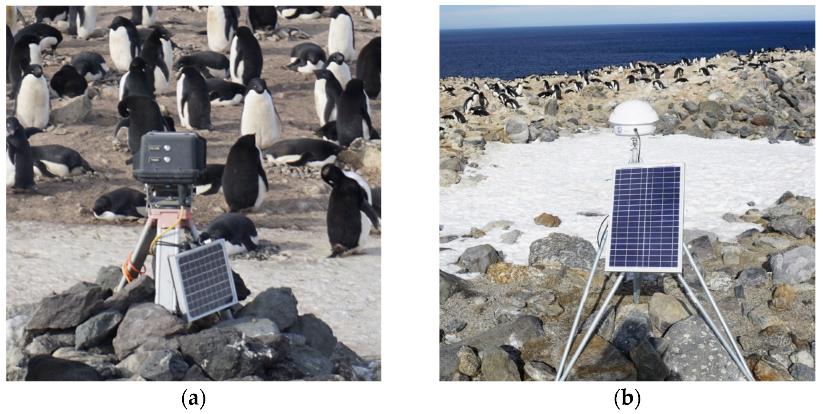 Diversity 14 00429 g004 Diversity 14 00429 g004