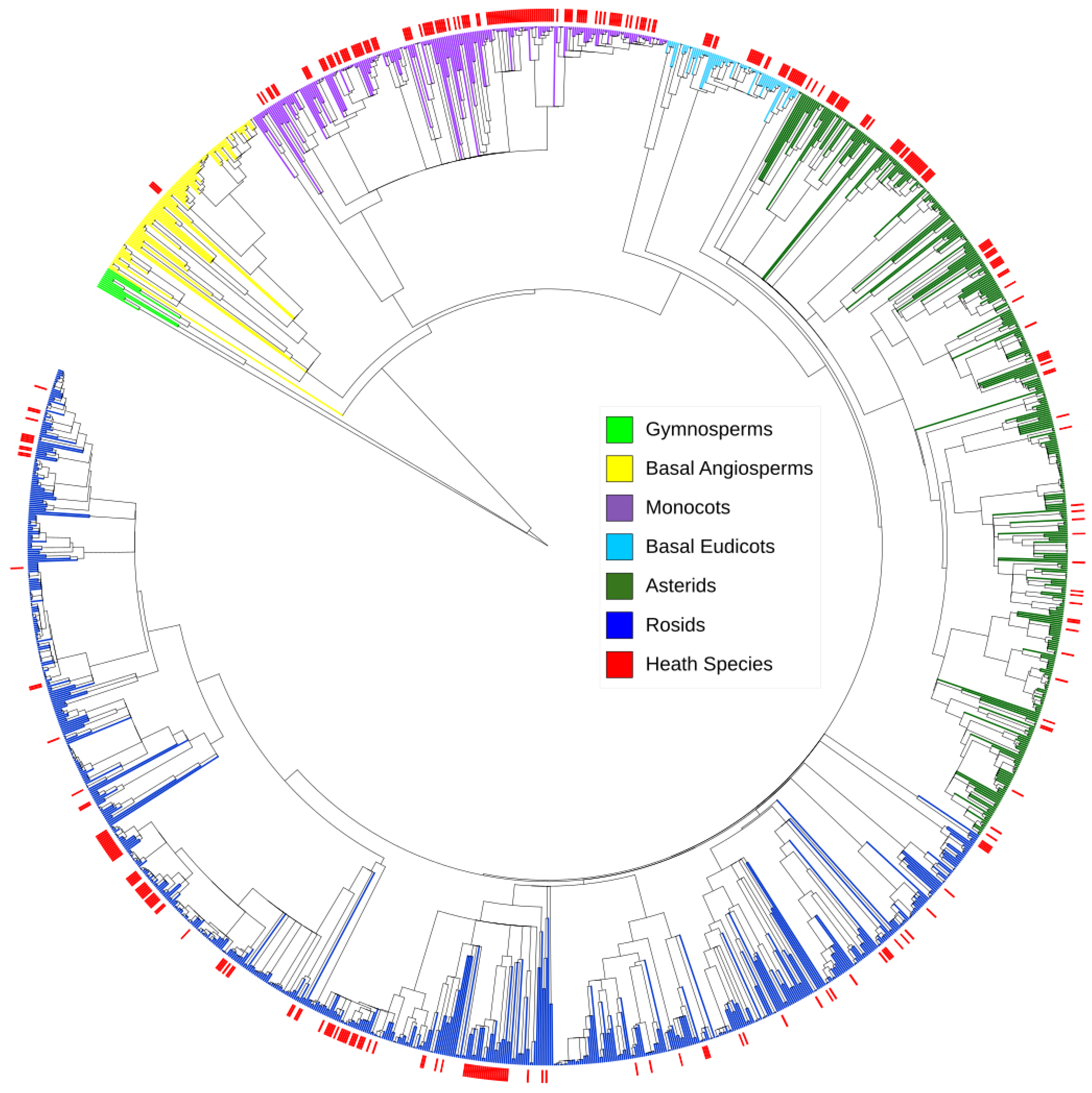Diversity 14 00436 g002 Diversity 14 00436 g002