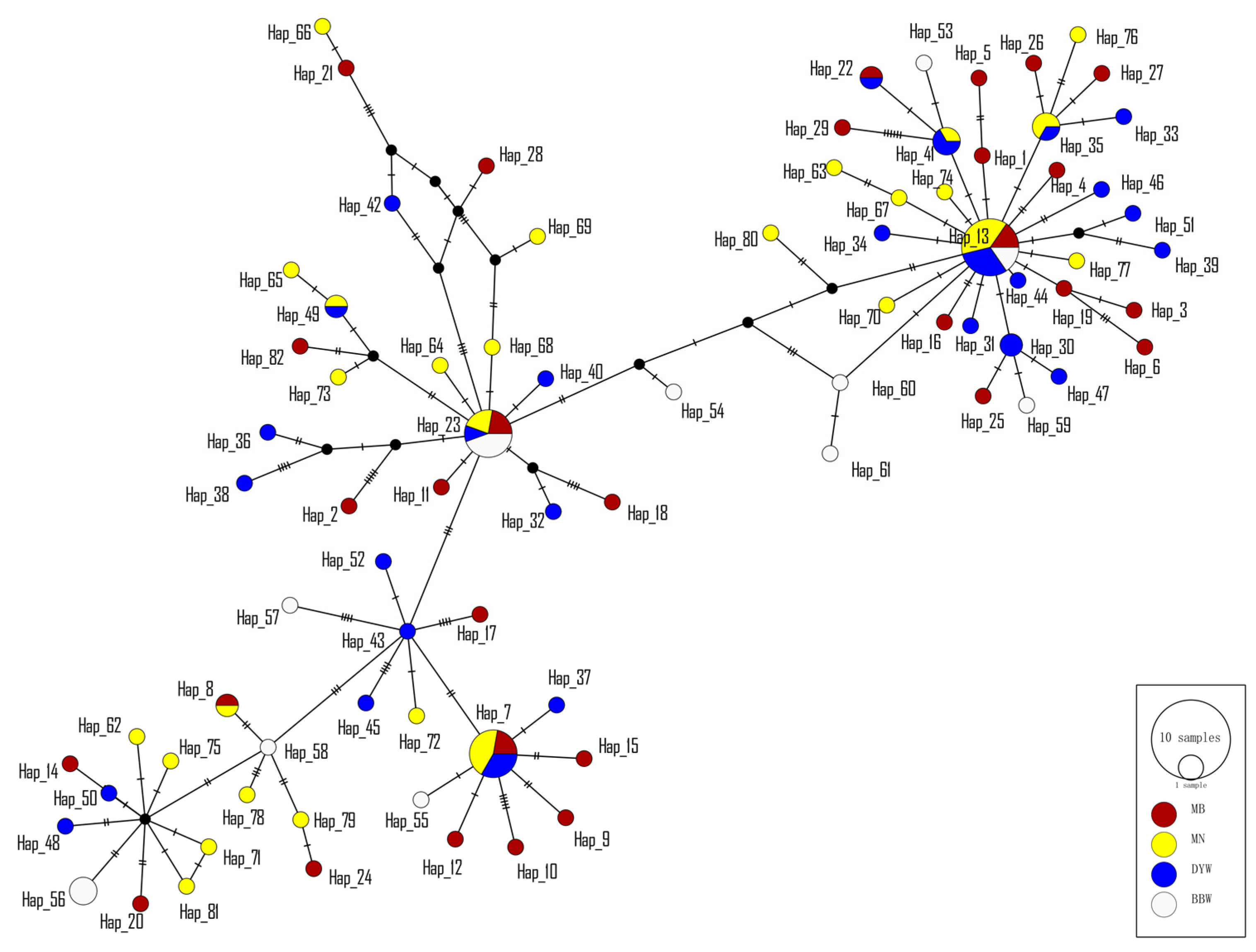 Diversity 14 00439 g003