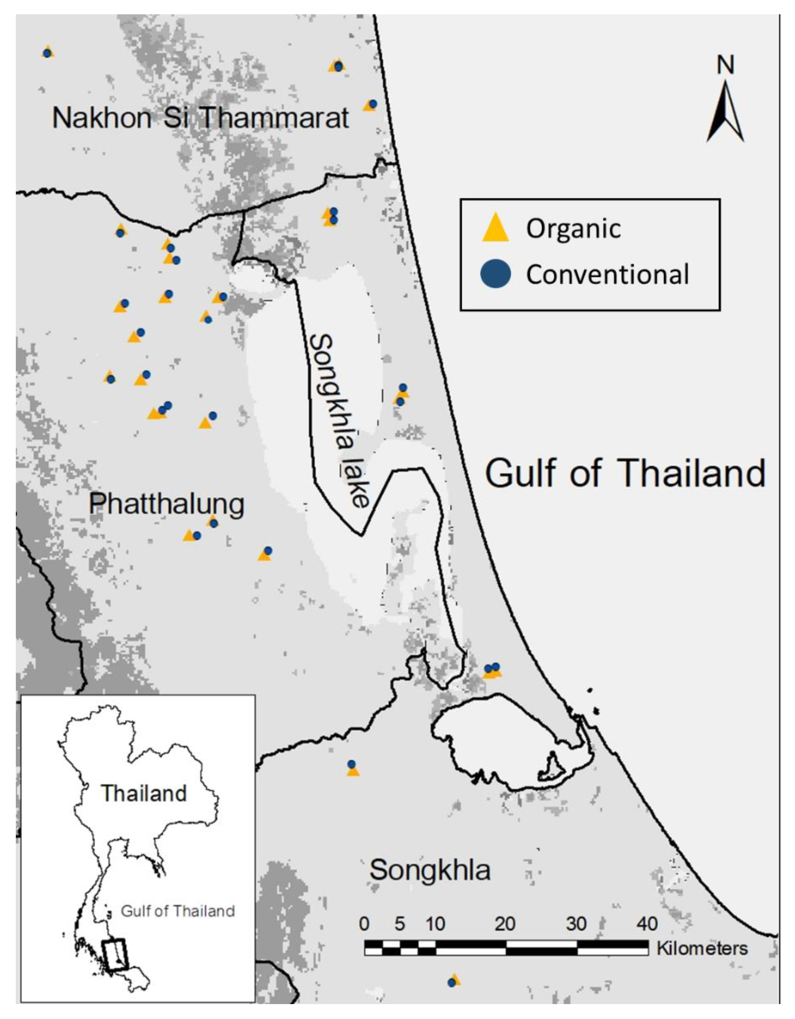 Diversity 14 00444 g001