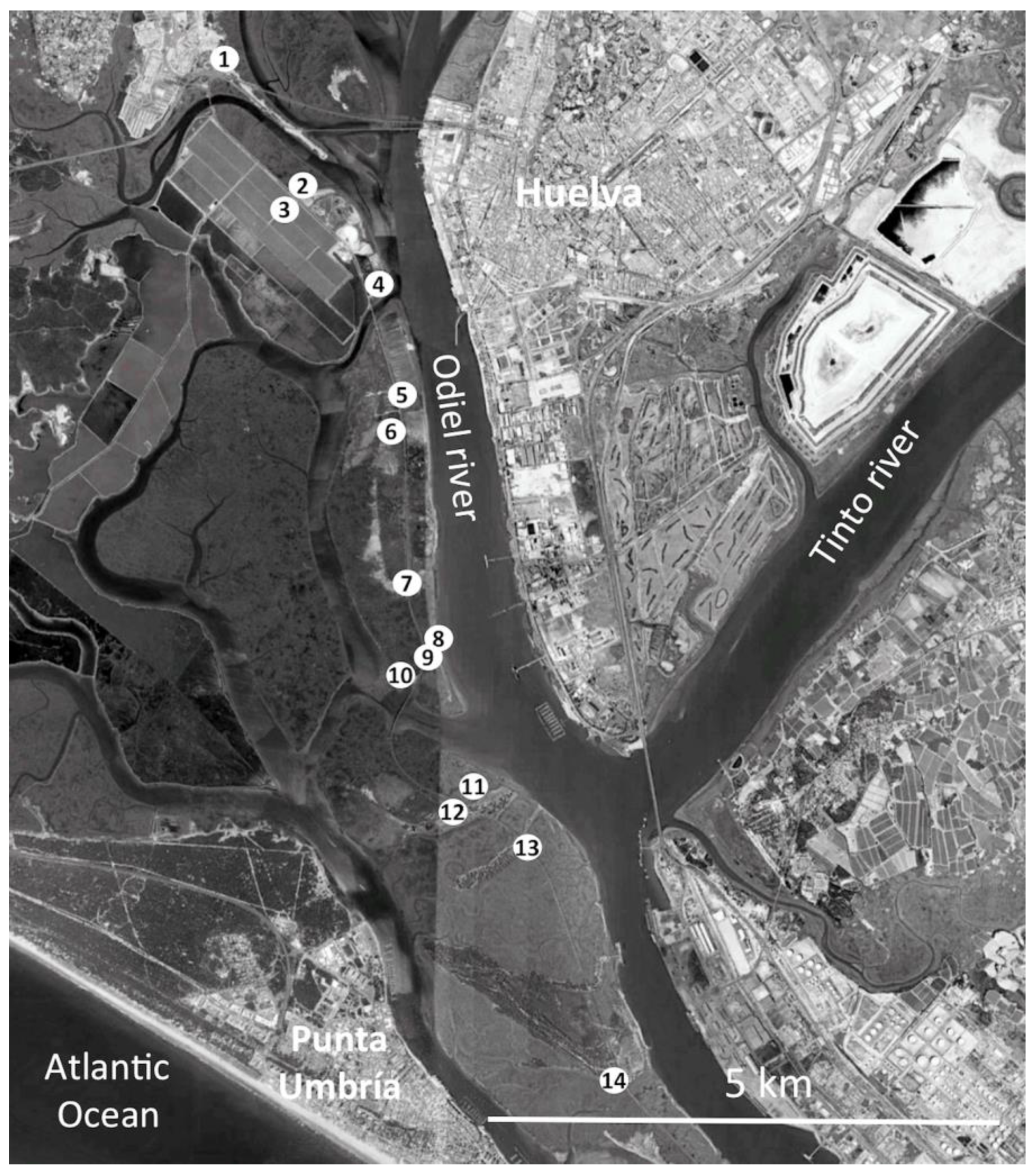 Diversity 14 00452 g001 Diversity 14 00452 g001