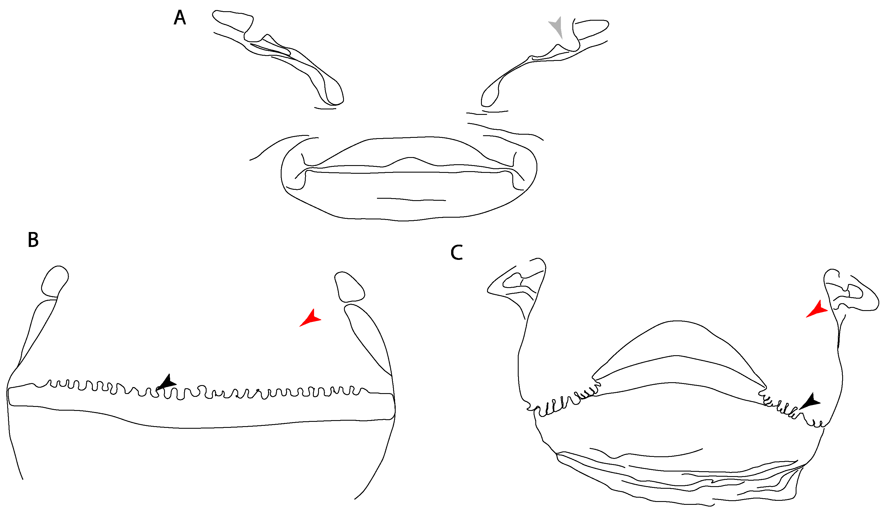 Diversity 14 00456 g002