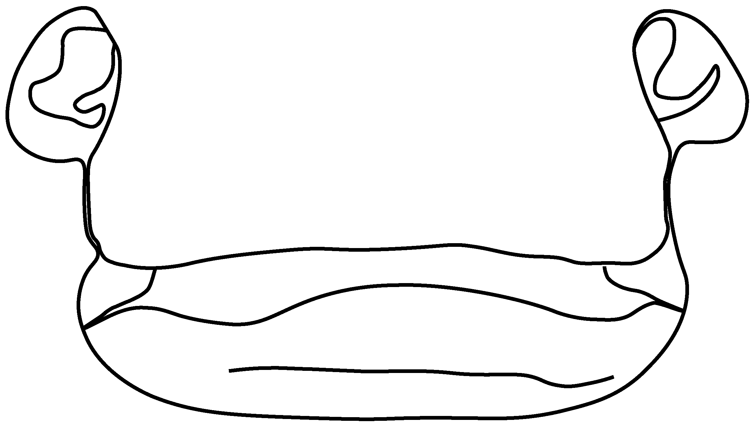 Diversity 14 00456 g003