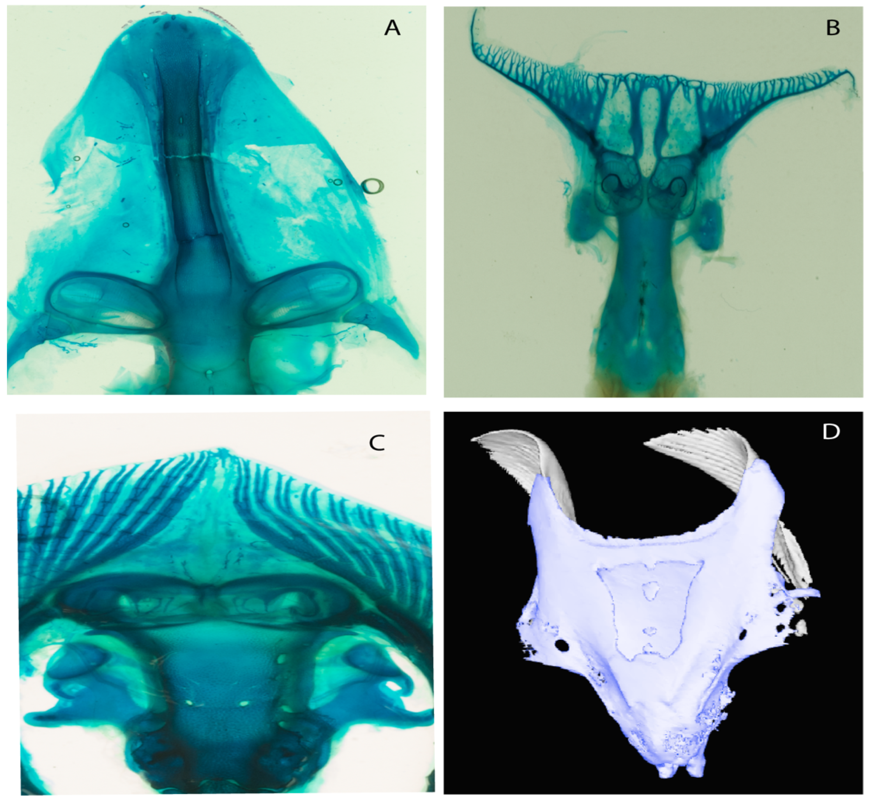 Diversity 14 00456 g005