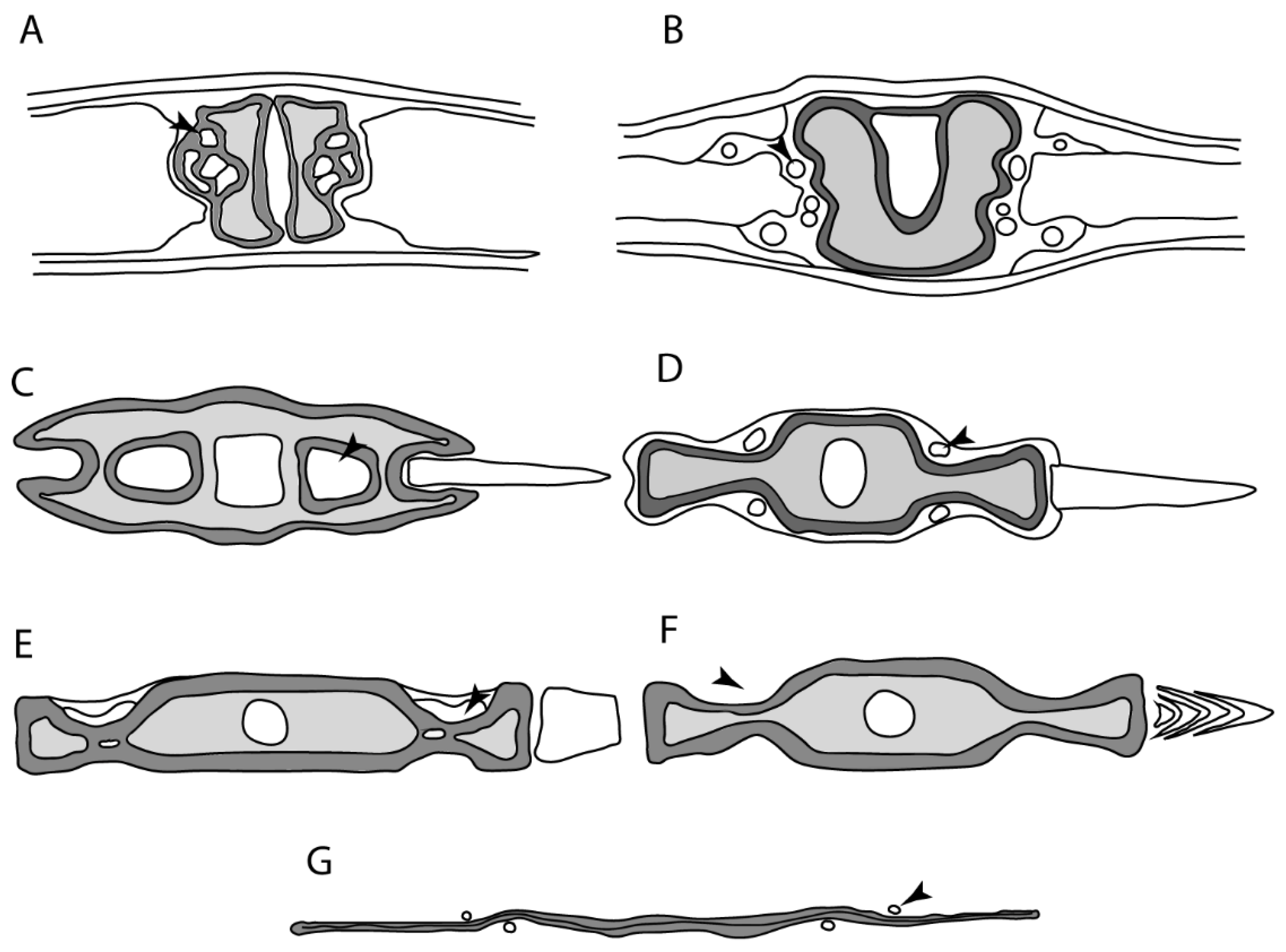 Diversity 14 00456 g010