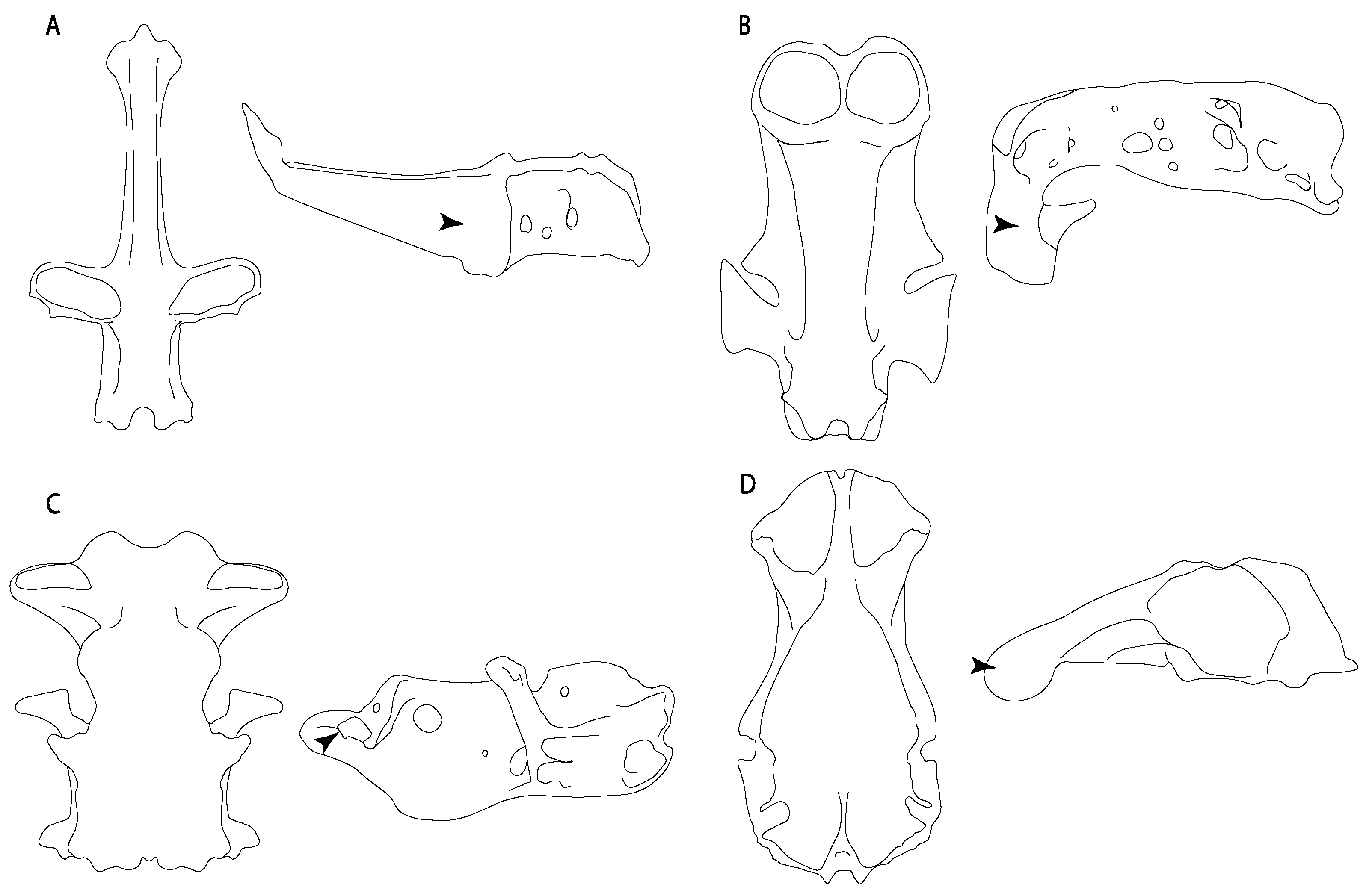 Diversity 14 00456 g012