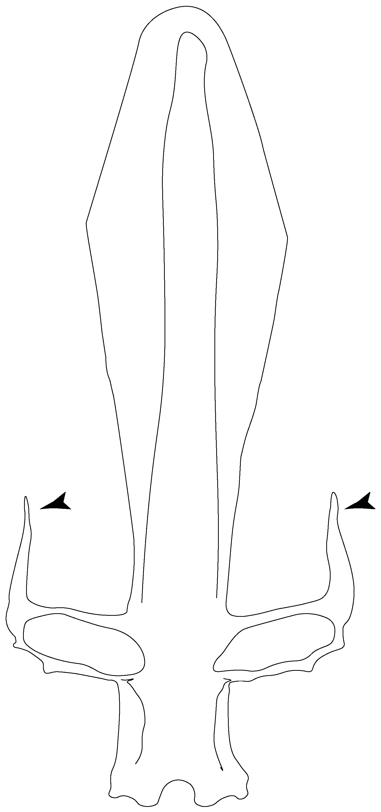 Diversity 14 00456 g013