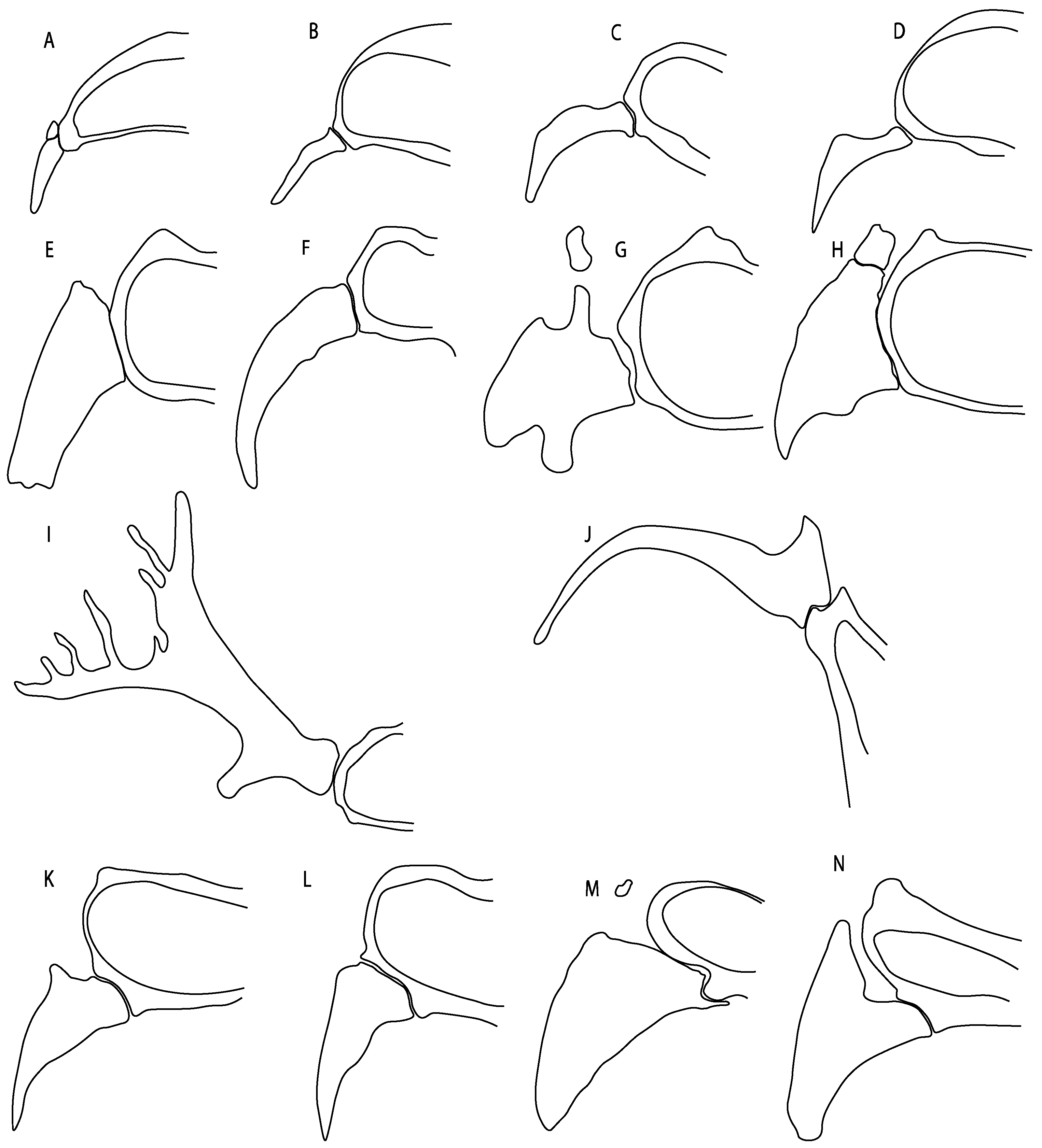 Diversity 14 00456 g014