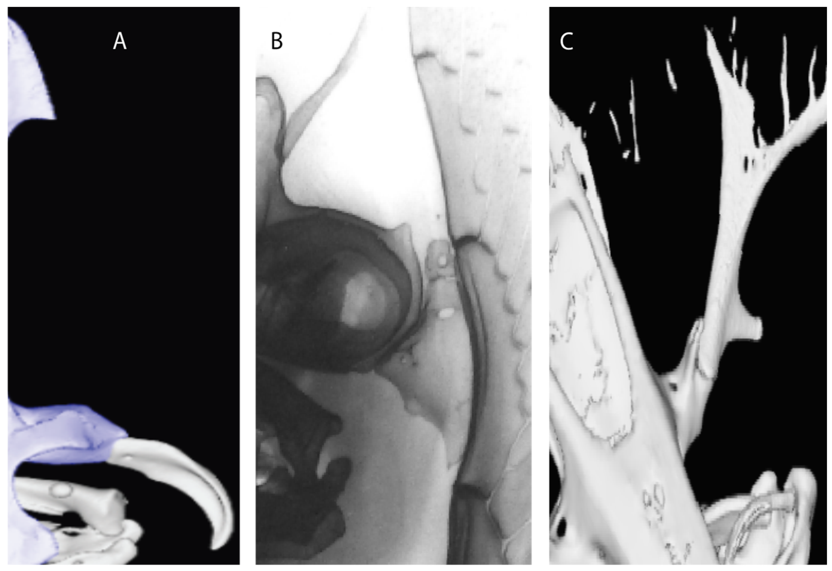 Diversity 14 00456 g016