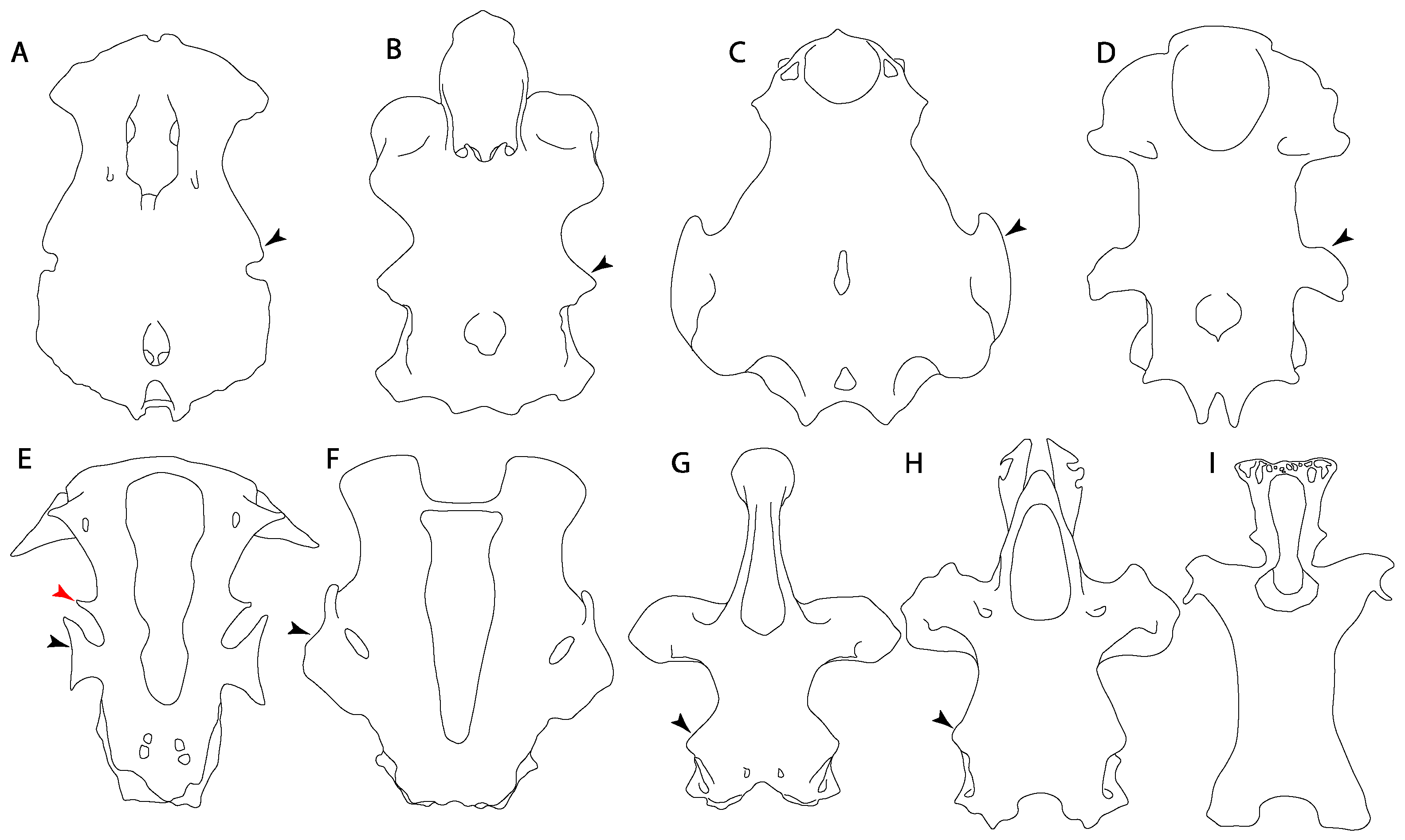 Diversity 14 00456 g017