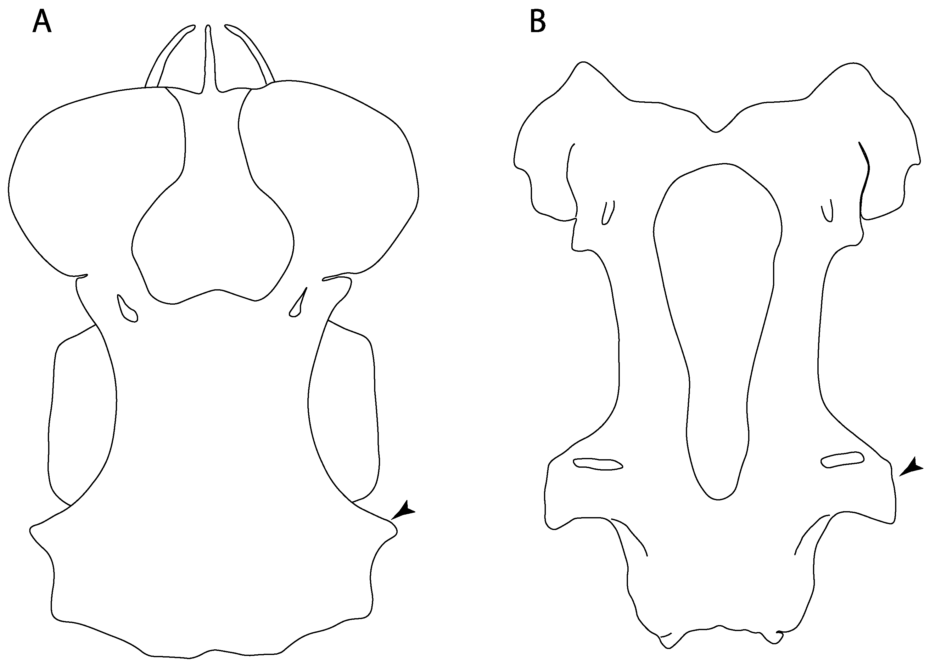 Diversity 14 00456 g018