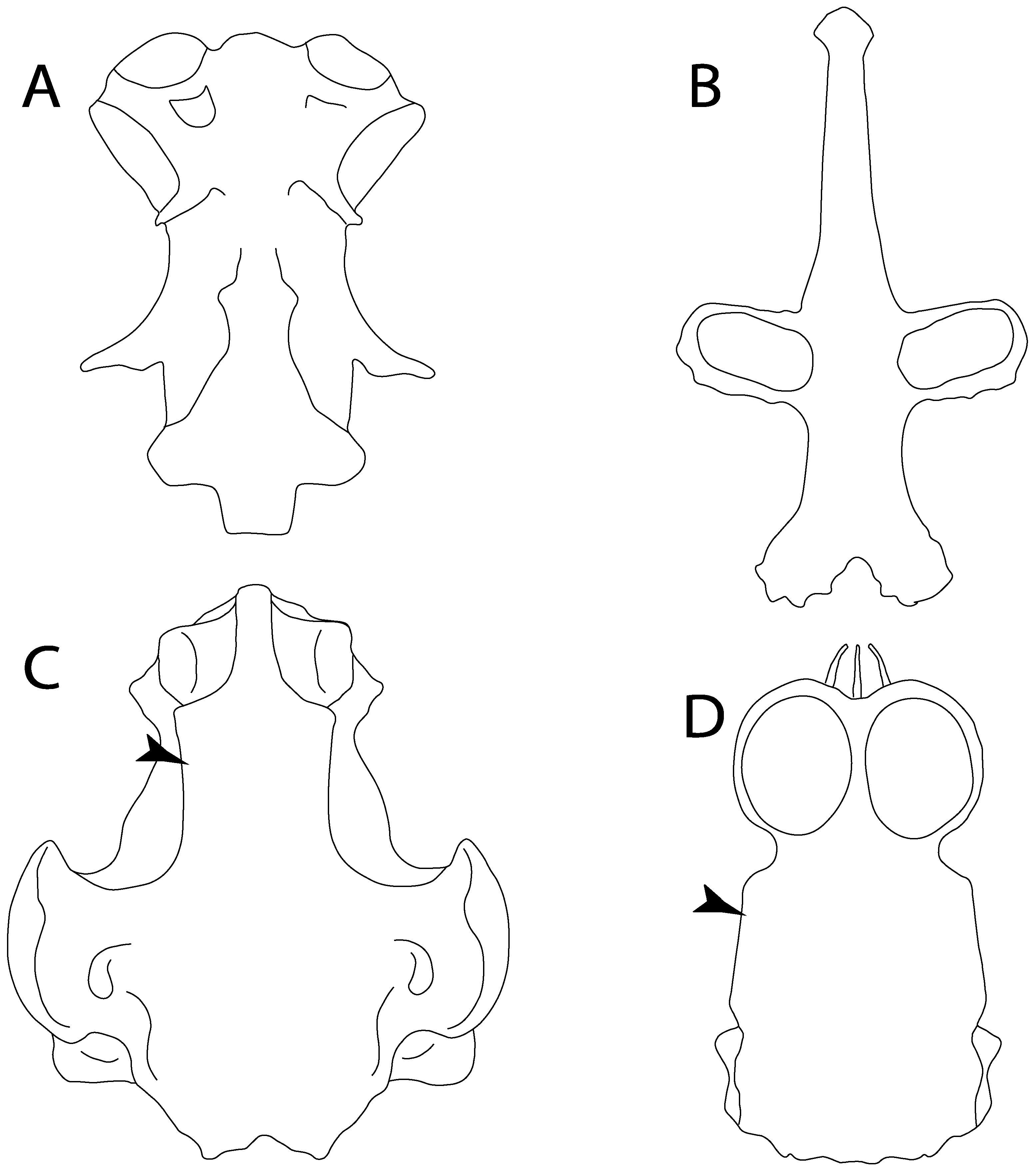 Diversity 14 00456 g019