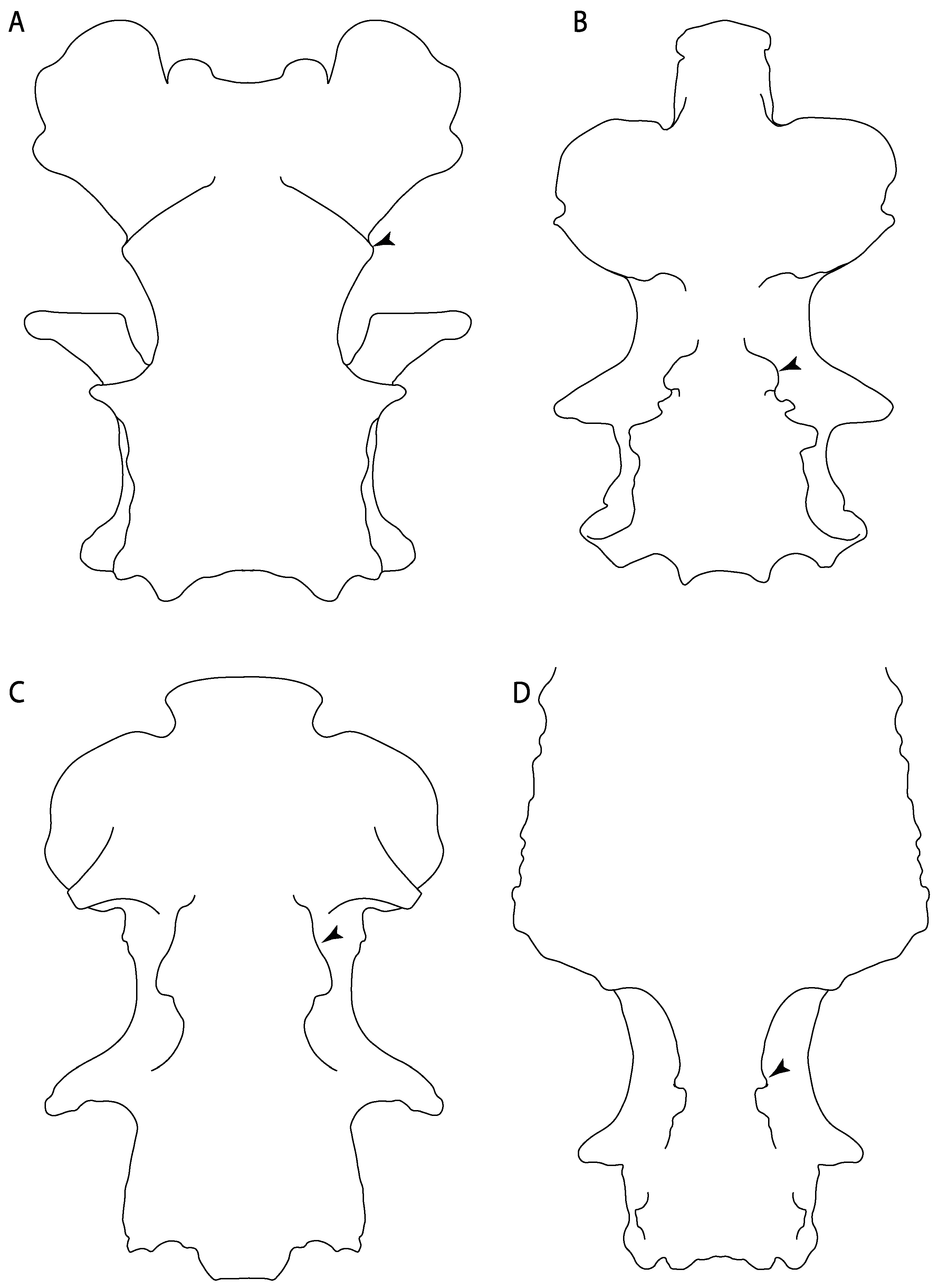 Diversity 14 00456 g020