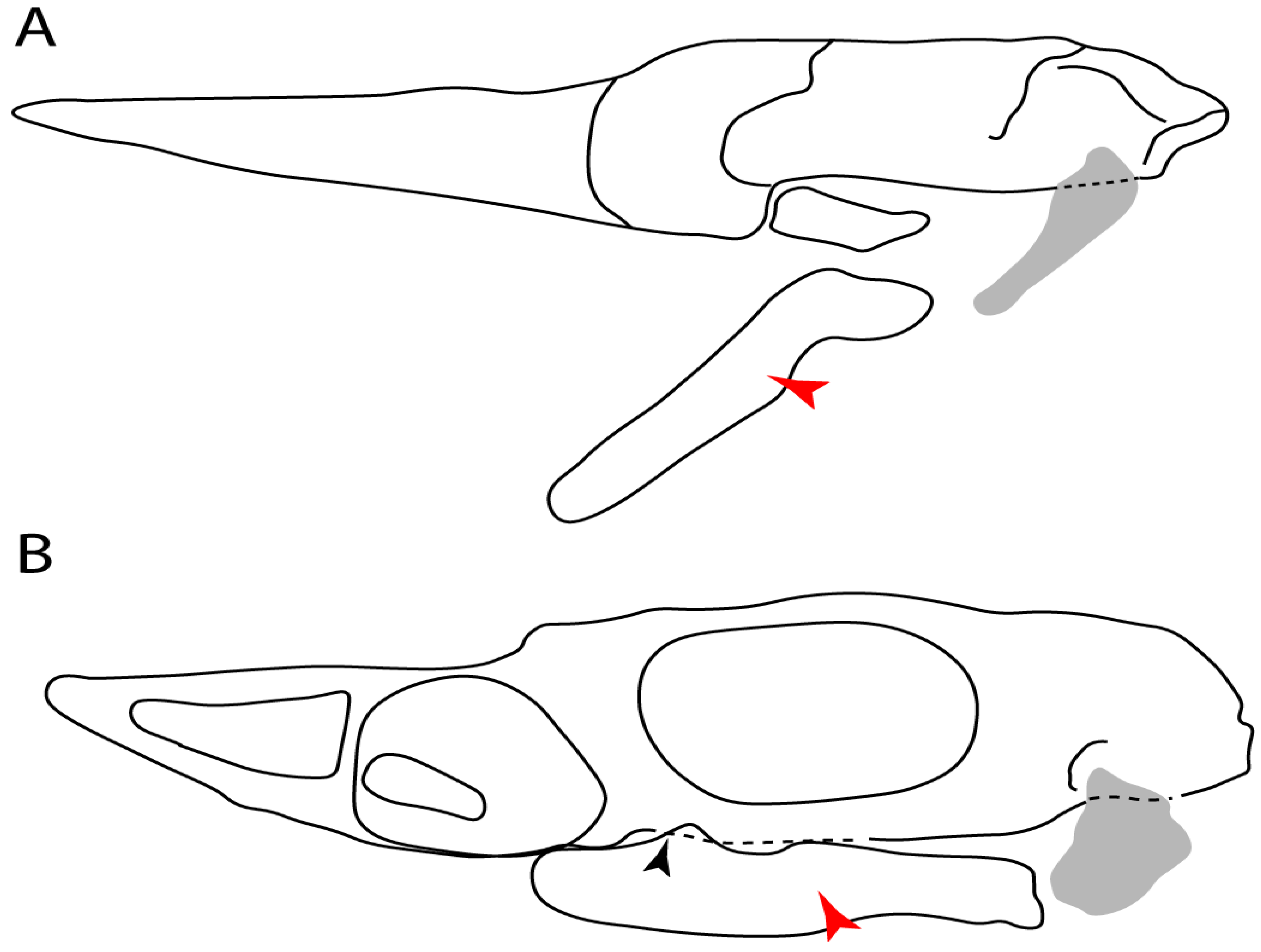 Diversity 14 00456 g021