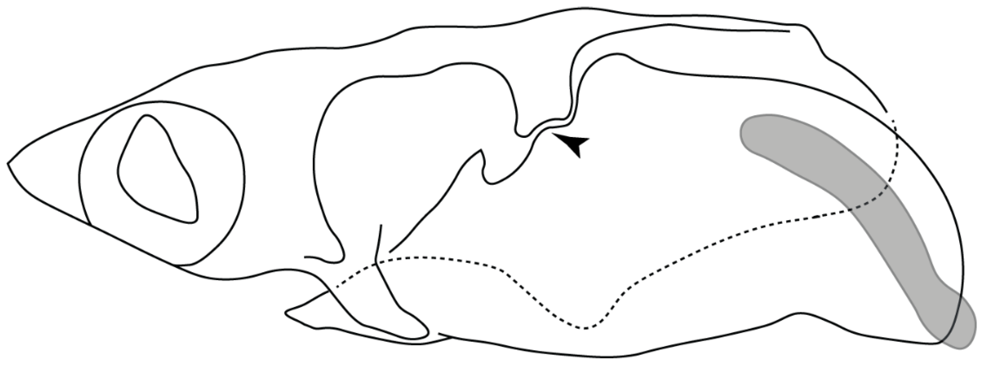 Diversity 14 00456 g022