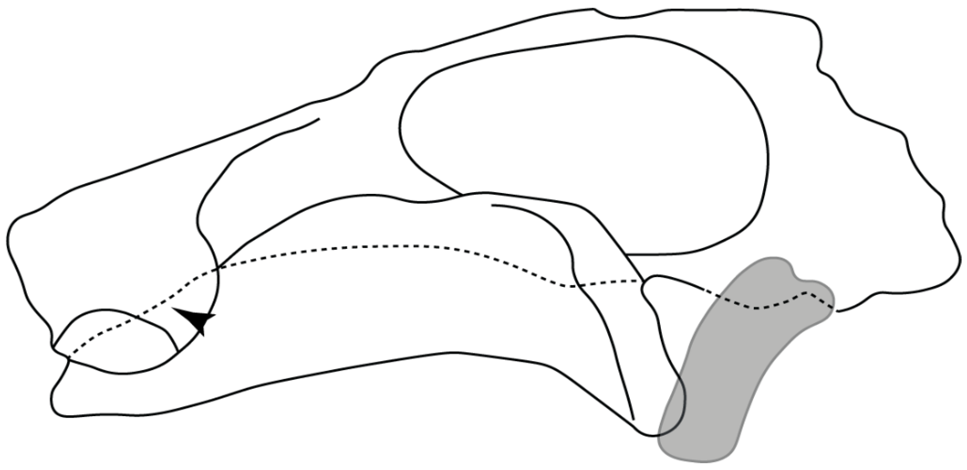 Diversity 14 00456 g023