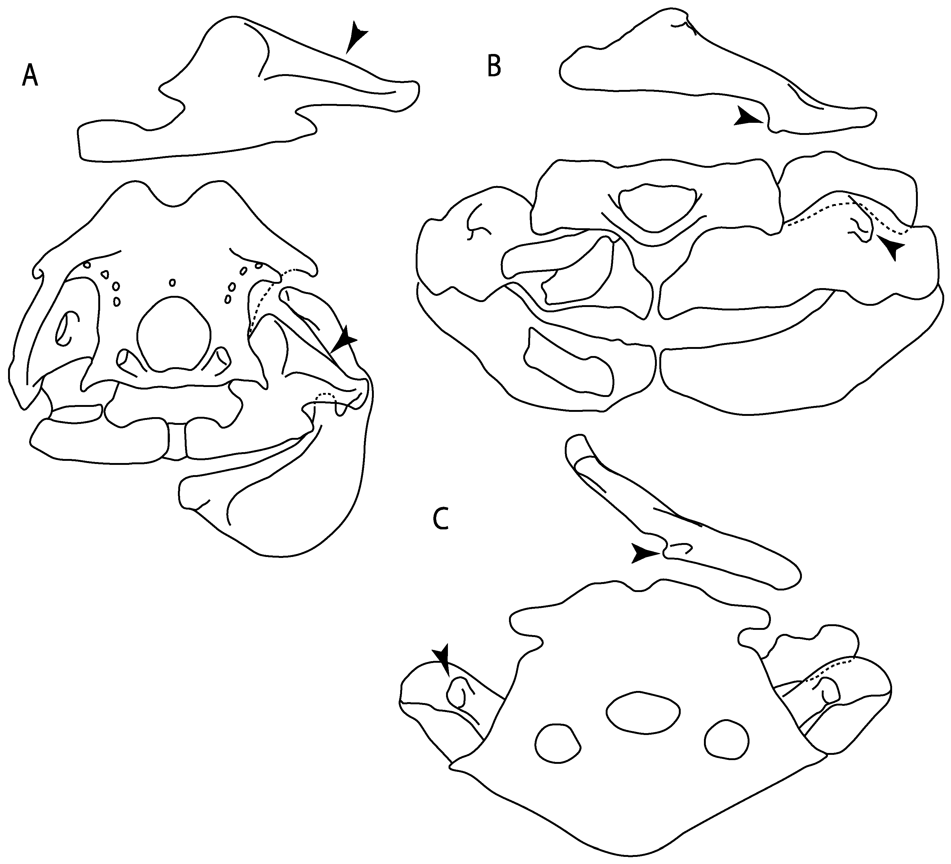 Diversity 14 00456 g024